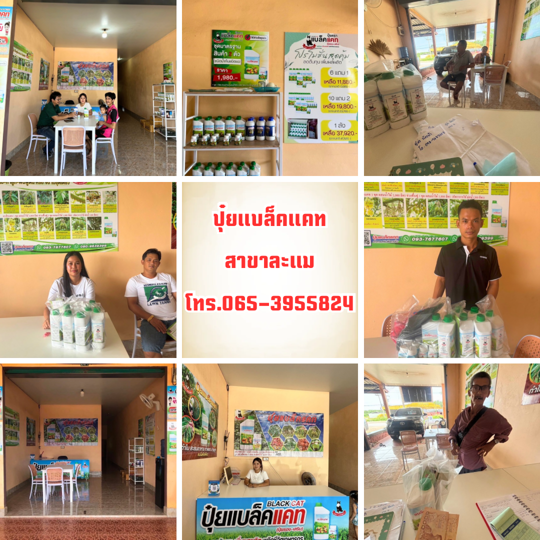 ปุ๋ยแบล็คแคท นวัตกรรม เพิ่มผลผลิต Facebook ad