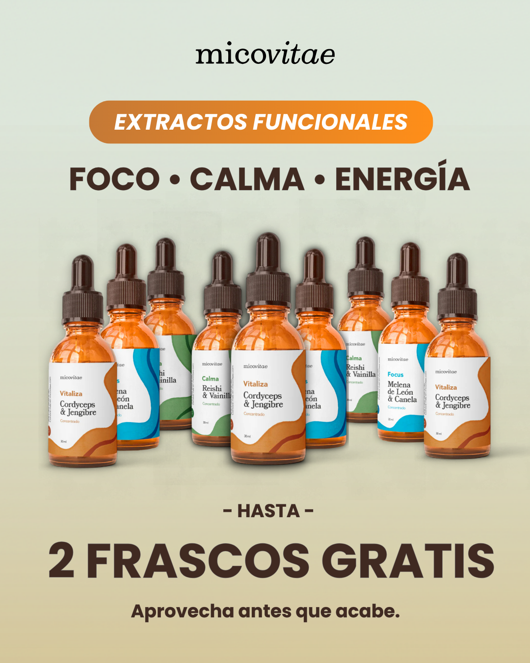 MVOF Facebook ad