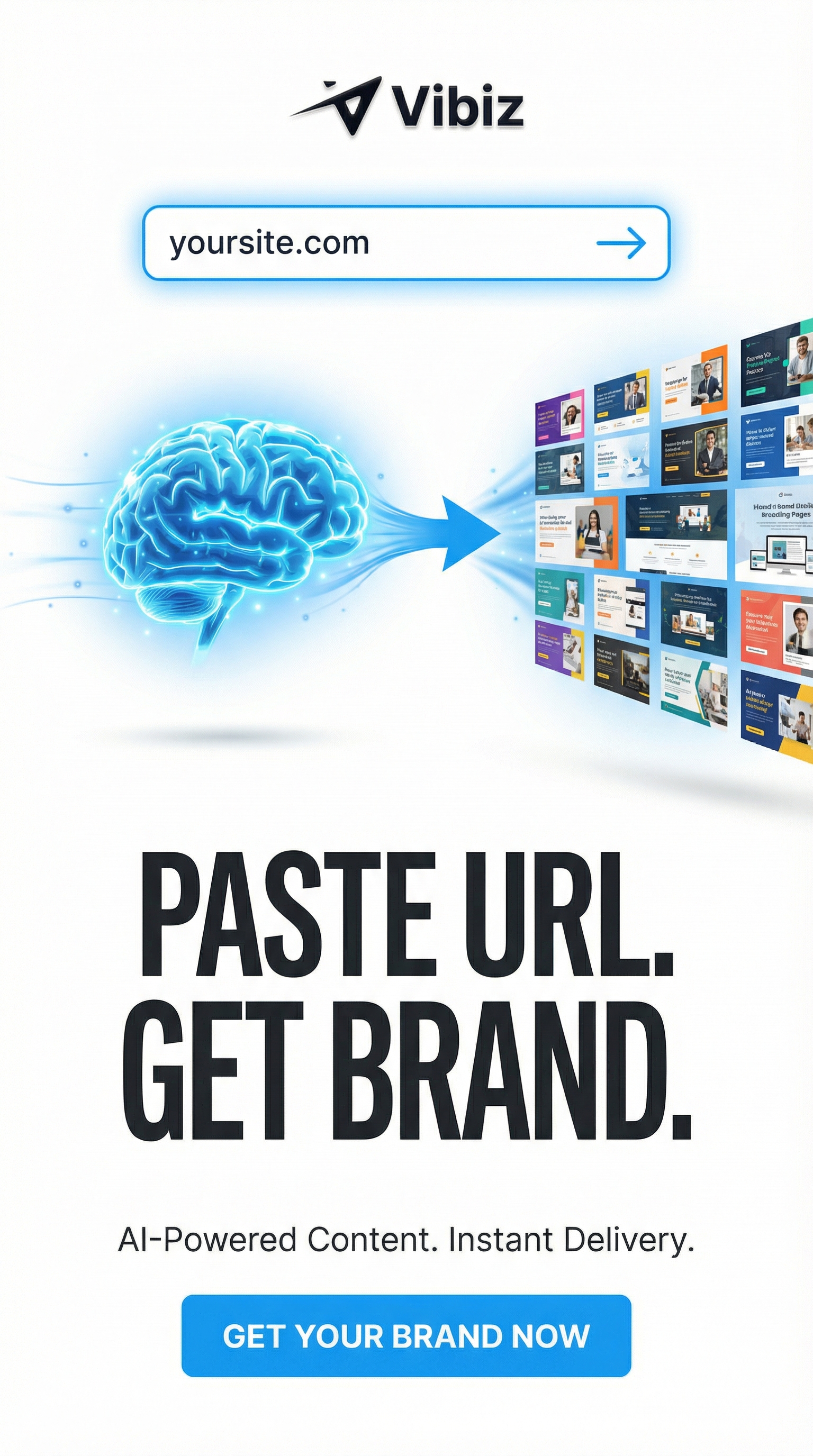 Vibiz Facebook ad