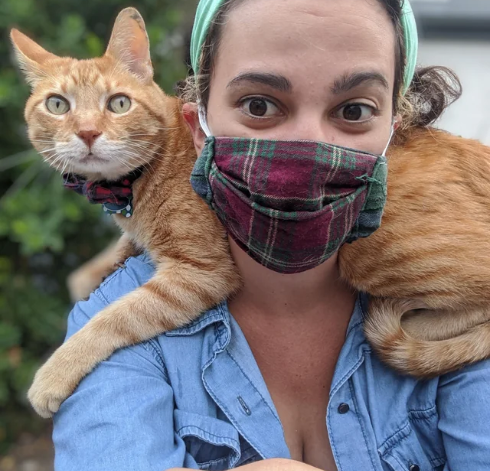 Vet Life Magazine Facebook ad