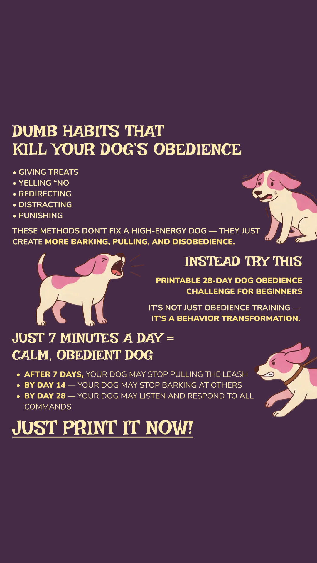 28 Day Dog Obedience Challenge Facebook ad