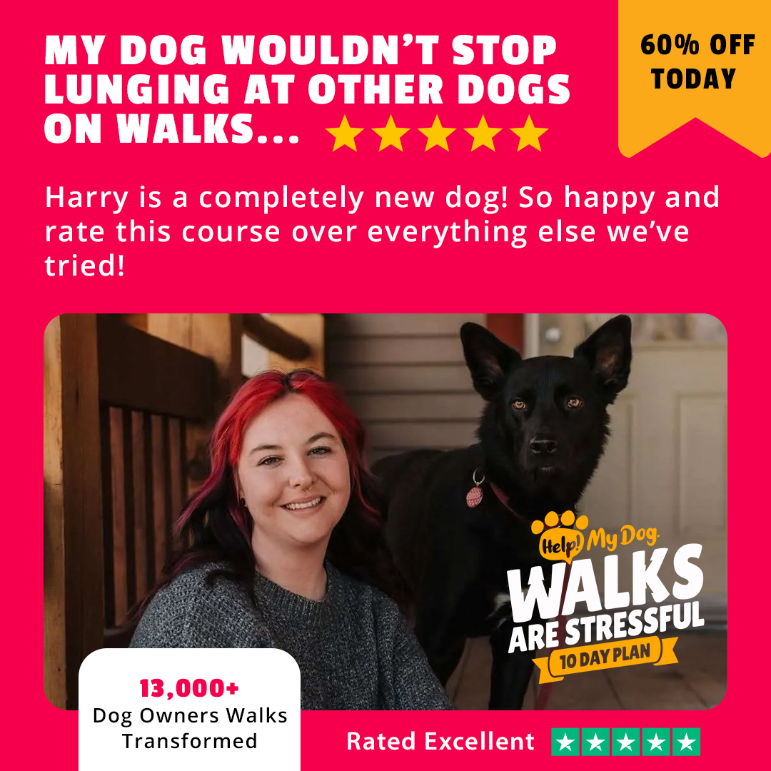 Help My Dog Facebook ad