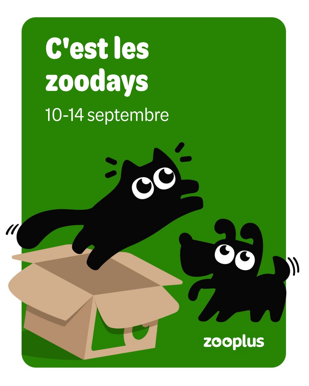 zooplus Facebook ad