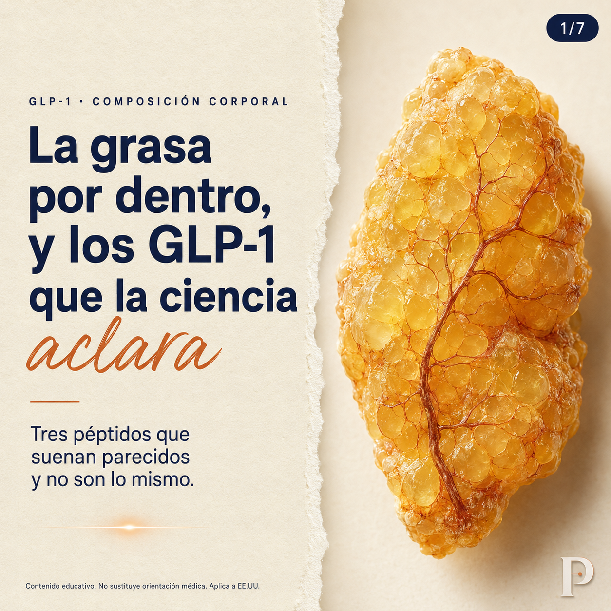 Prime Physique Facebook ad: Todo el mundo habla de los péptidos GLP-1…