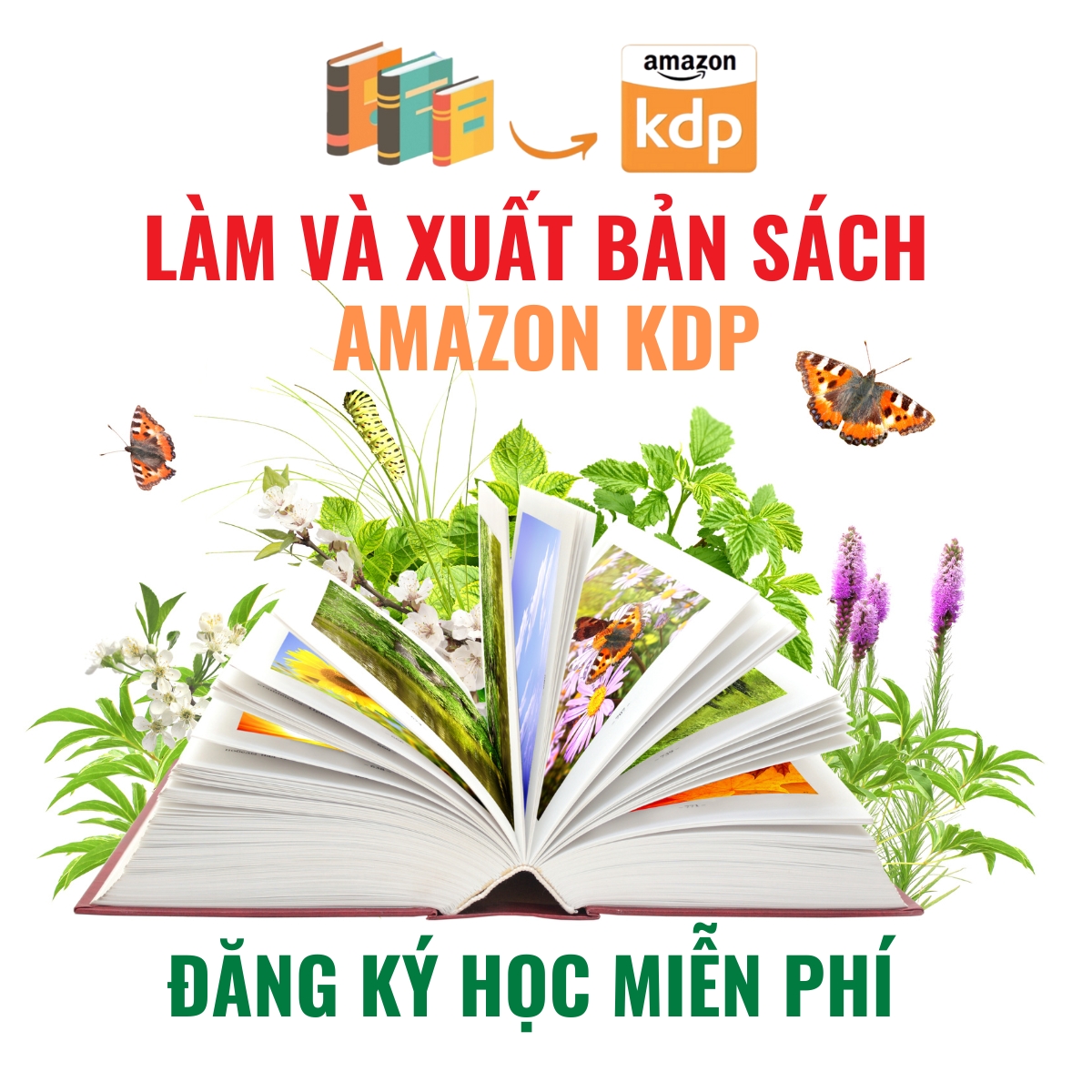 quocmedia.com Facebook ad