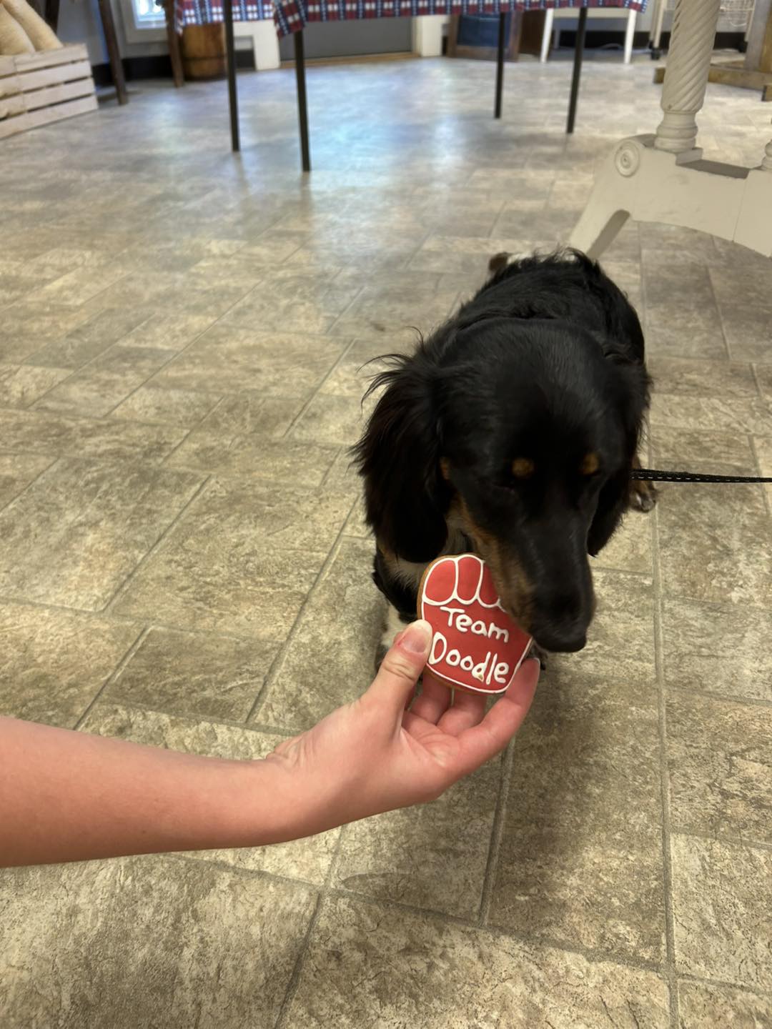 Doodle Doo Bakery in ‘Muth Facebook ad: Visiting Frankenmuth with your dog?