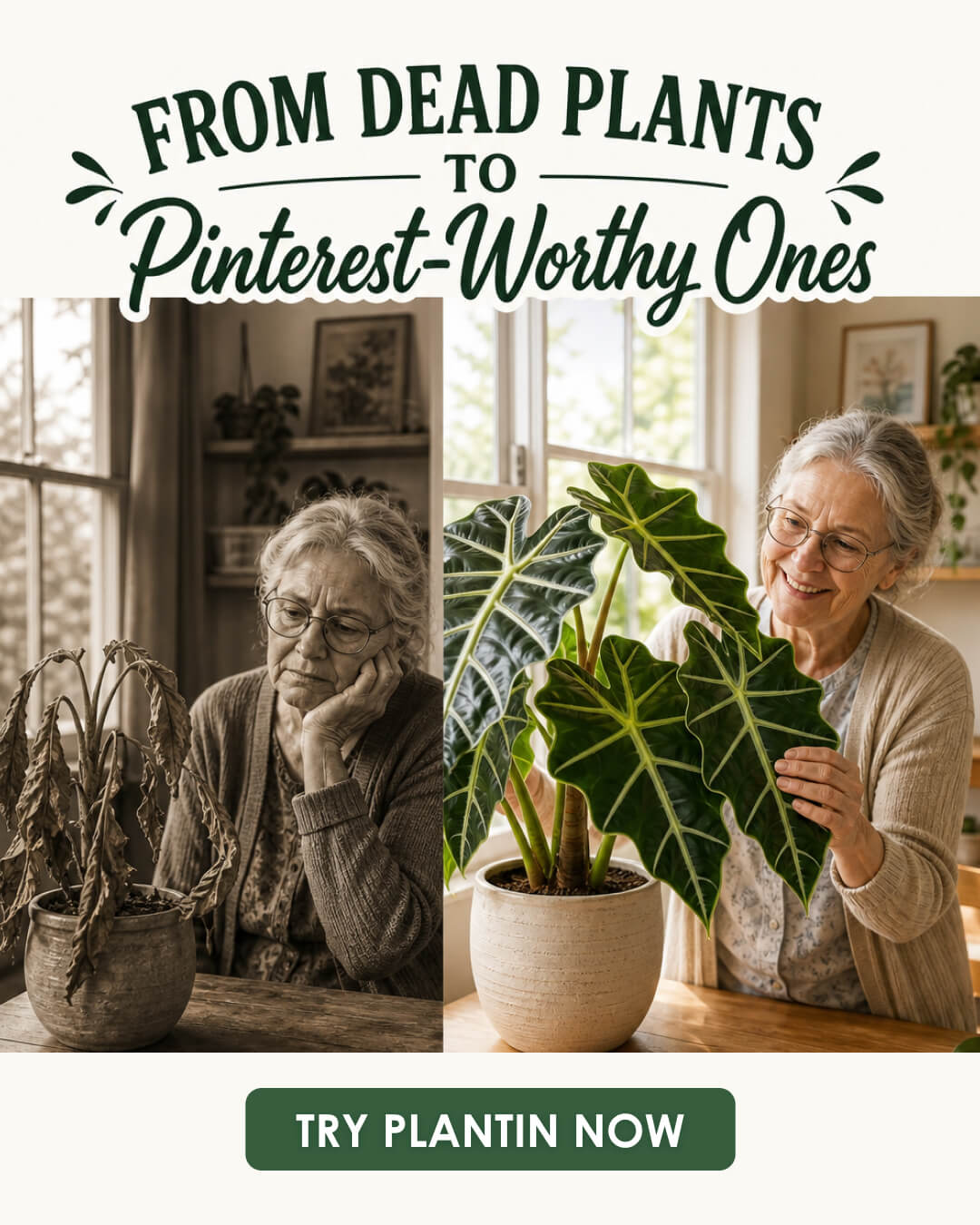 PlantIn AI: Never Kill Your Plants Facebook ad: Become a Plant Pro easily with PlantIn!