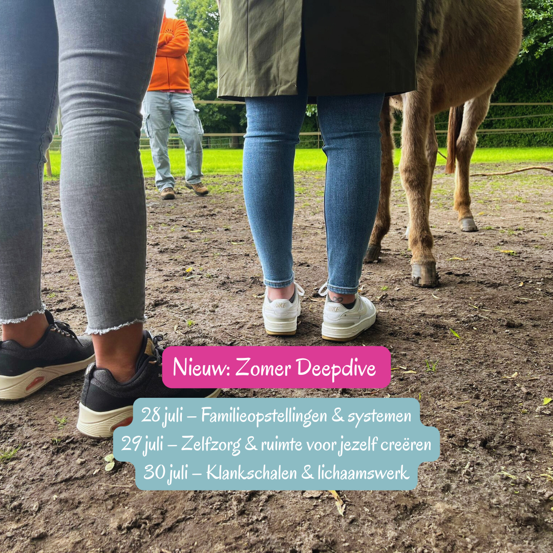 The Clever Company Facebook ad: Zomer Deepdive: 3 dagen op reis in jezelf (Weert)