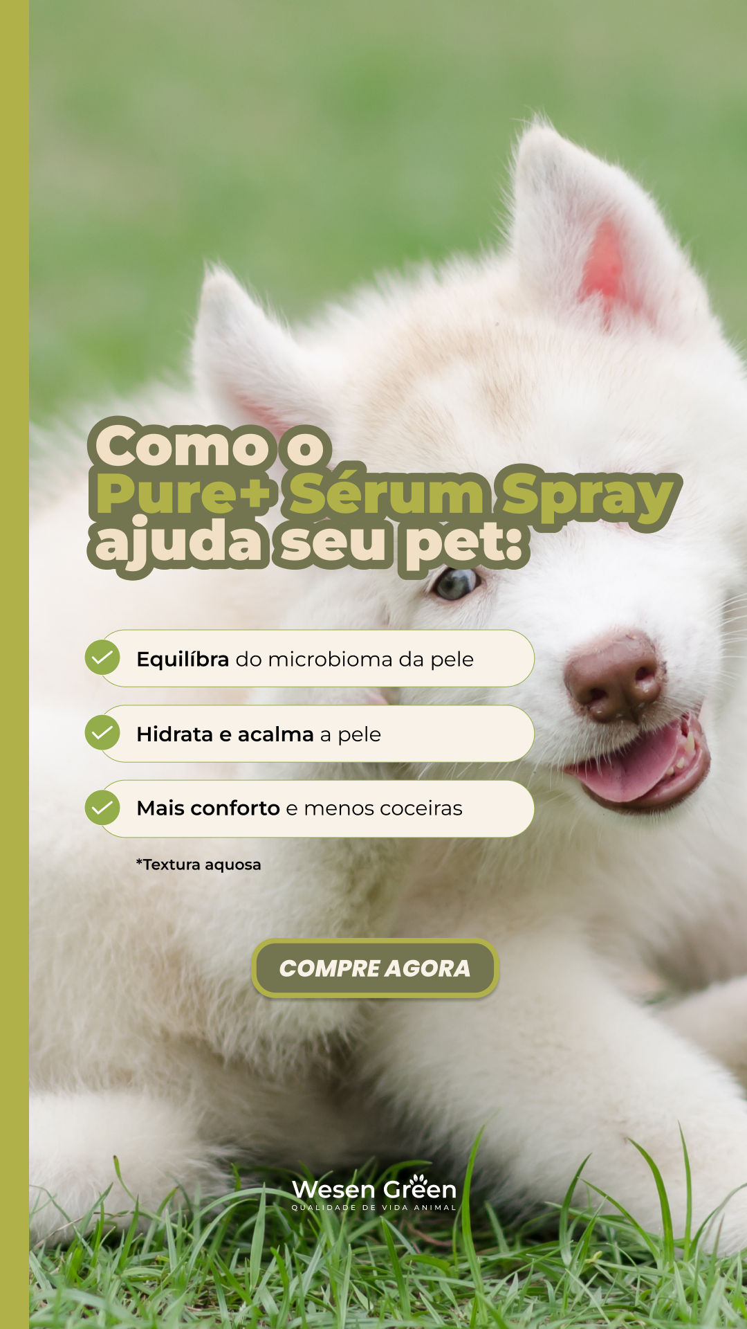 Wesen Green Facebook ad from Jun 19, 2026