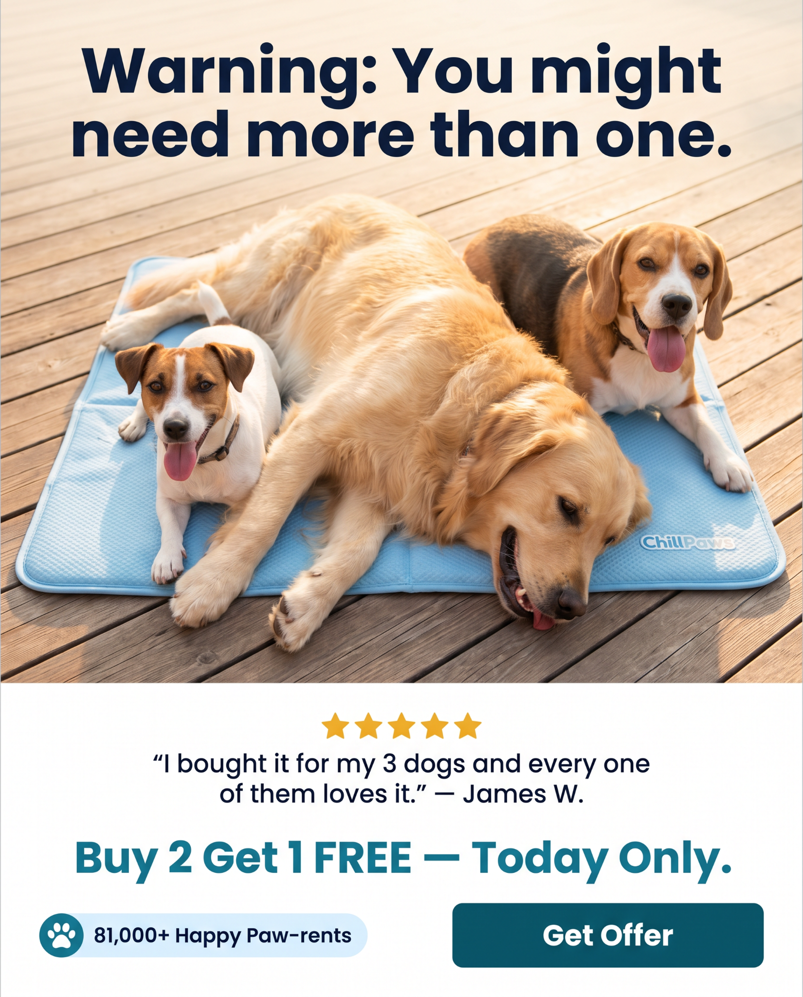 Rhykin Pet Co Facebook ad