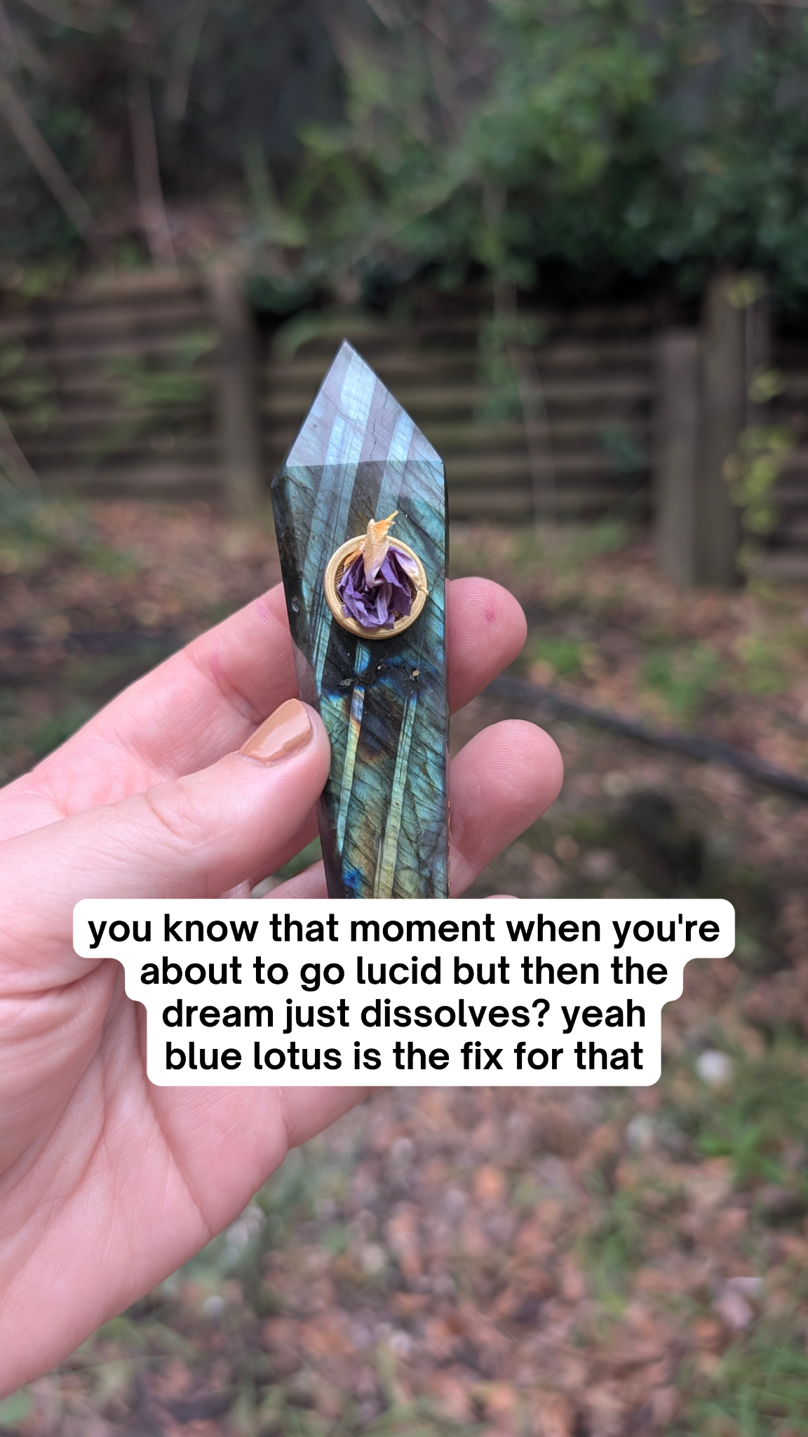 Ritual Oils Facebook ad