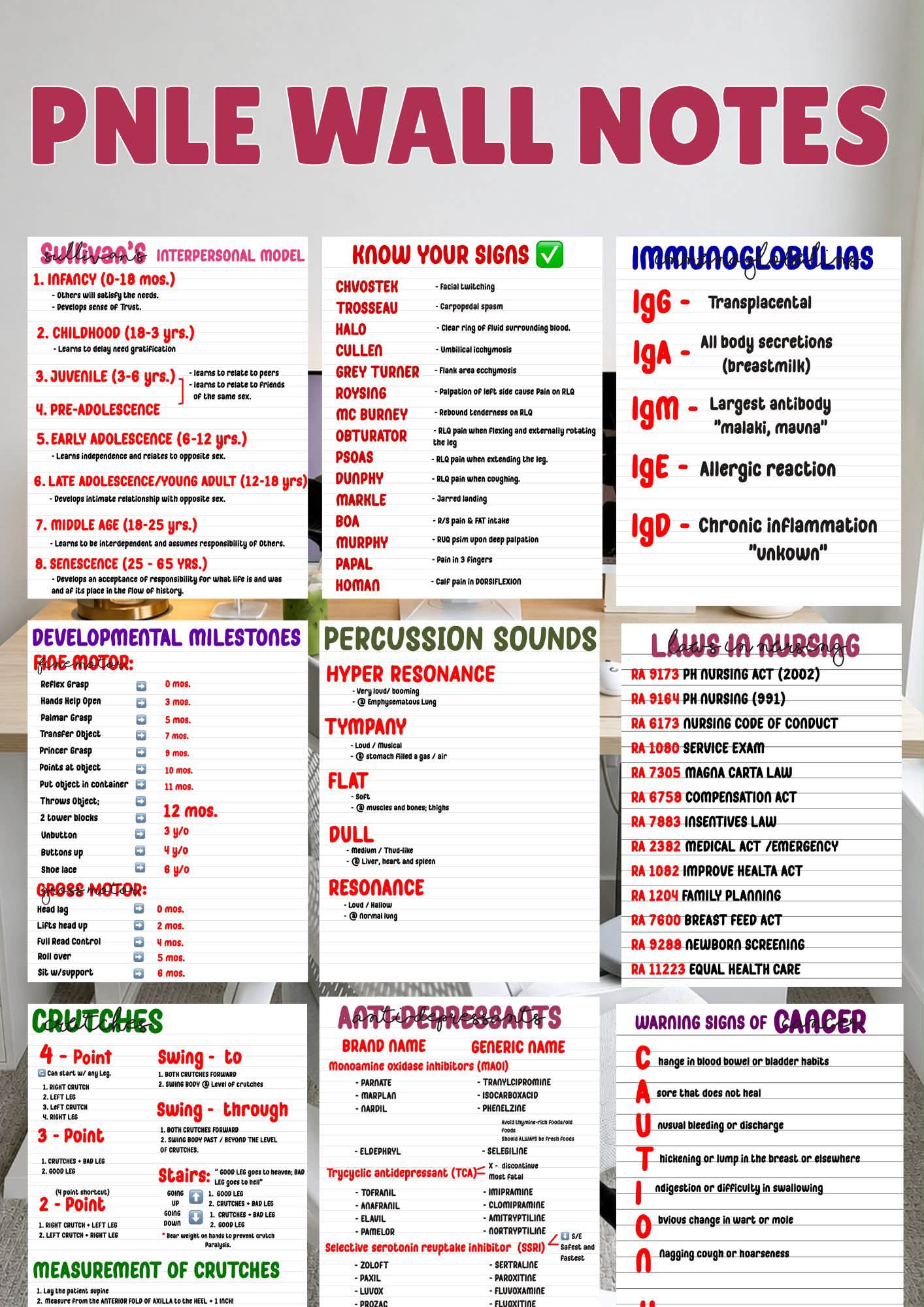 Road to RN Facebook ad: 2027 PNLE Wall Notes, PNLE Reviewers, Nursing Notesβ¦