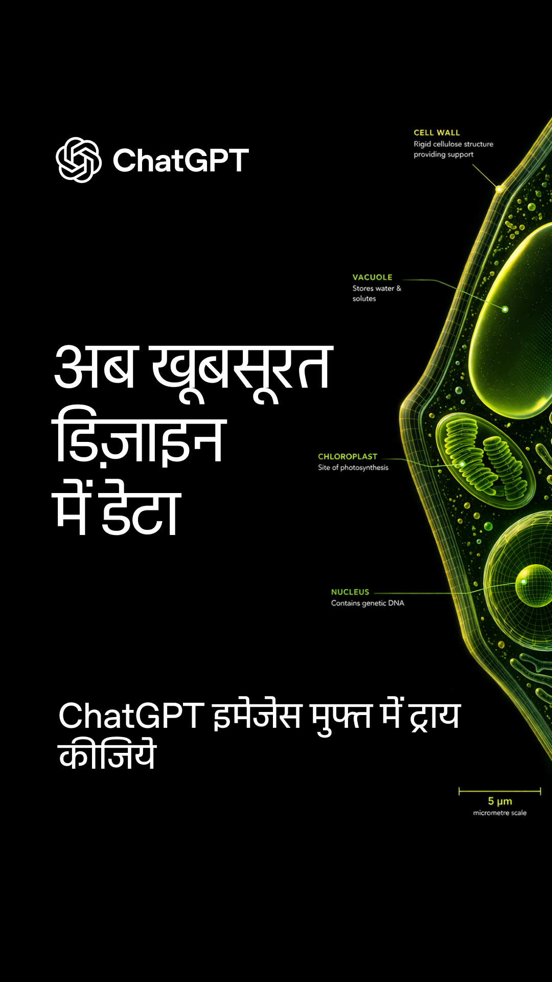 ChatGPT Facebook ad