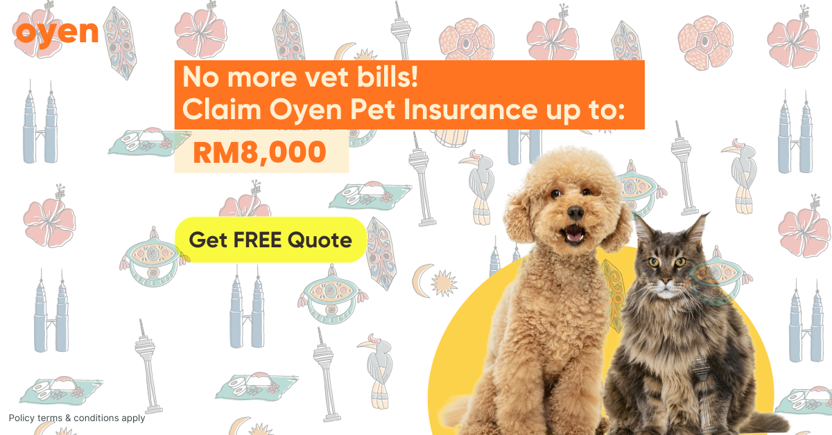 Oyen Pet Insurance & Takaful Kucing Facebook ad