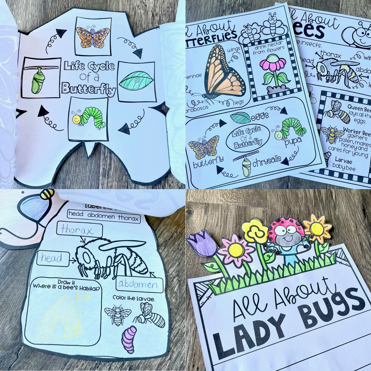 Kindergarten Rocks Facebook ad: Make your insect unit easy and fun!
