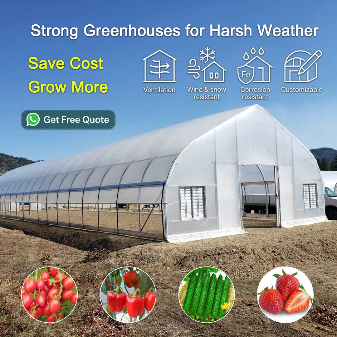 Prefabricated greenhouse manufacturer from China Facebook ad: Affordable Greenhouse Solution for Your Farm