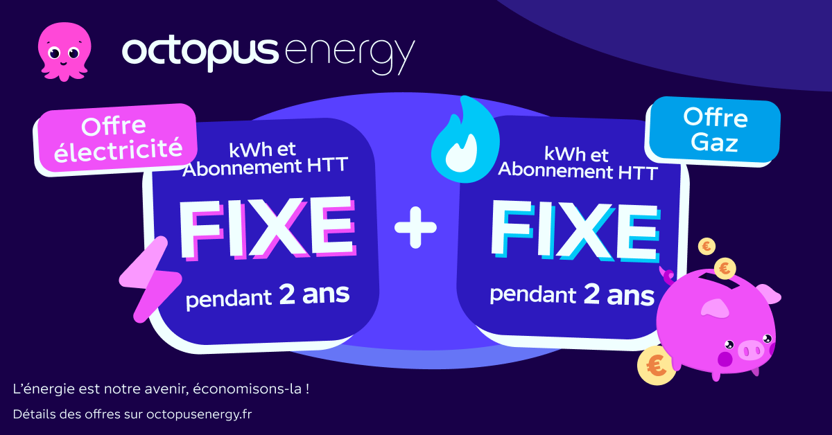 Octopus Energy Facebook ad