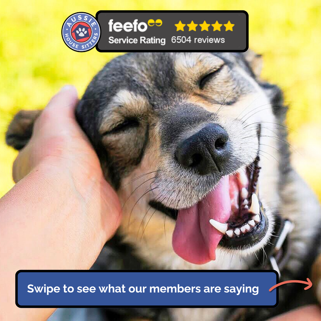 Aussie House Sitters Facebook ad: Celebrating 6500+ member reviews!