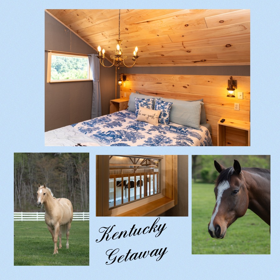 Nicura Ranch Facebook ad: Horse Farm Getaway