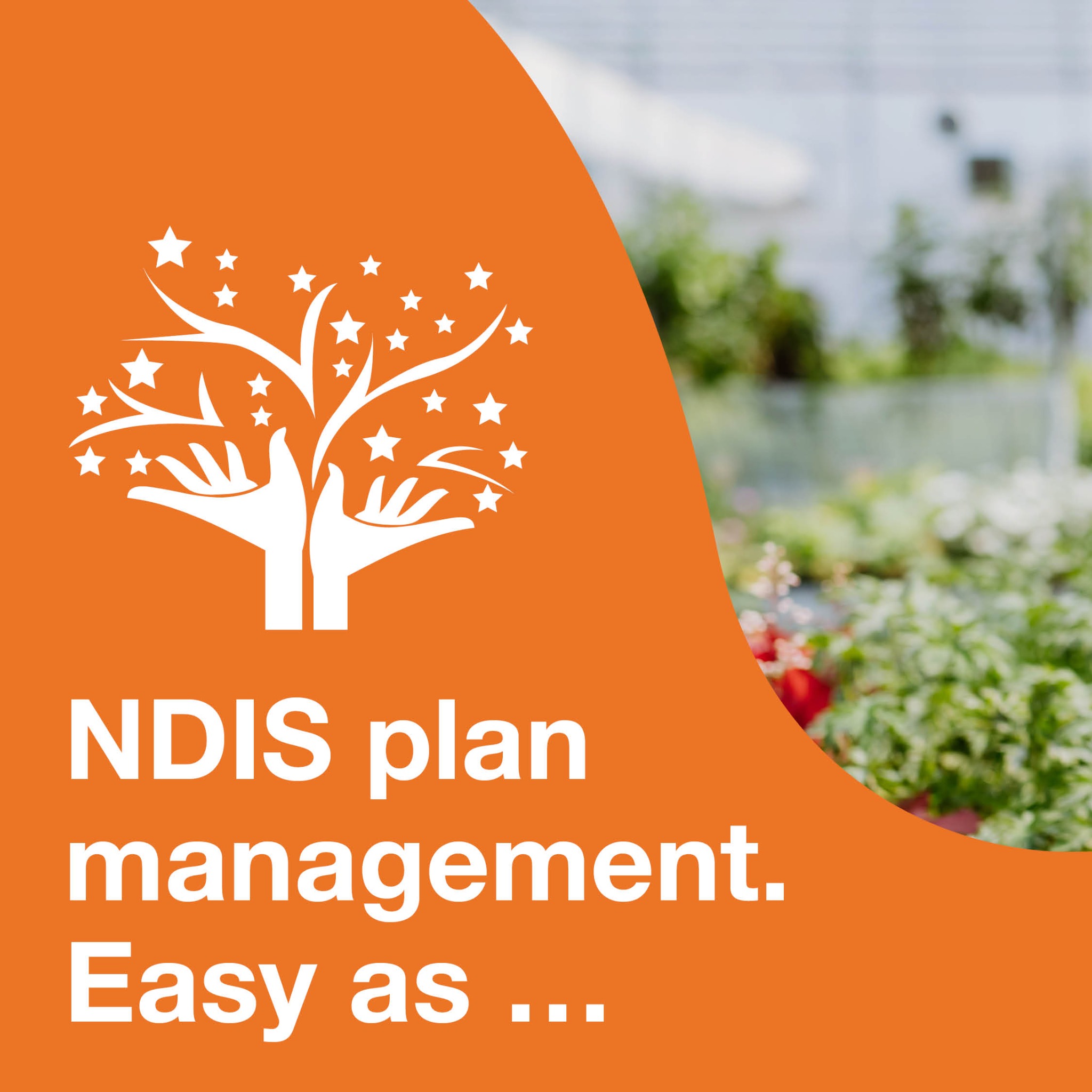 All Disability Plan Management Facebook ad