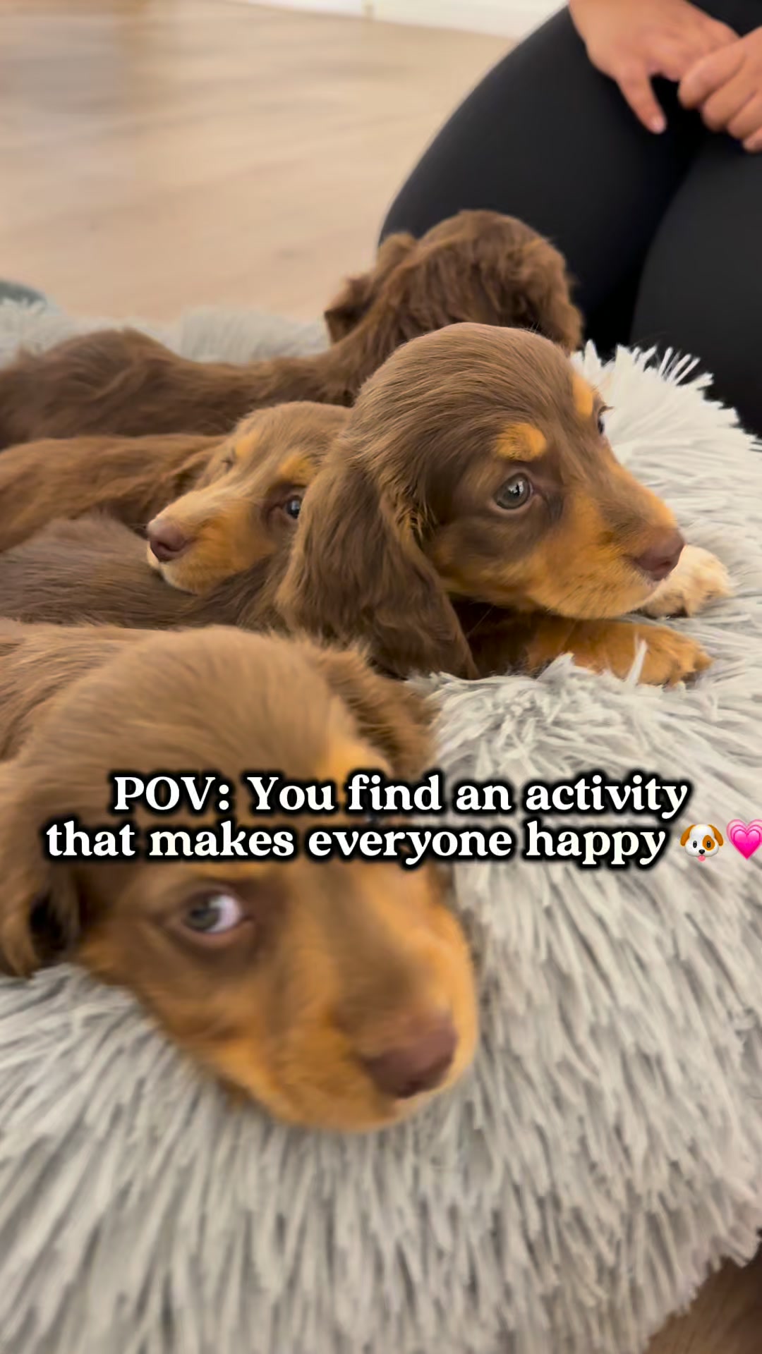 Positiva Puppy Yoga Facebook ad: Get 5% OFF code: PUPPY5