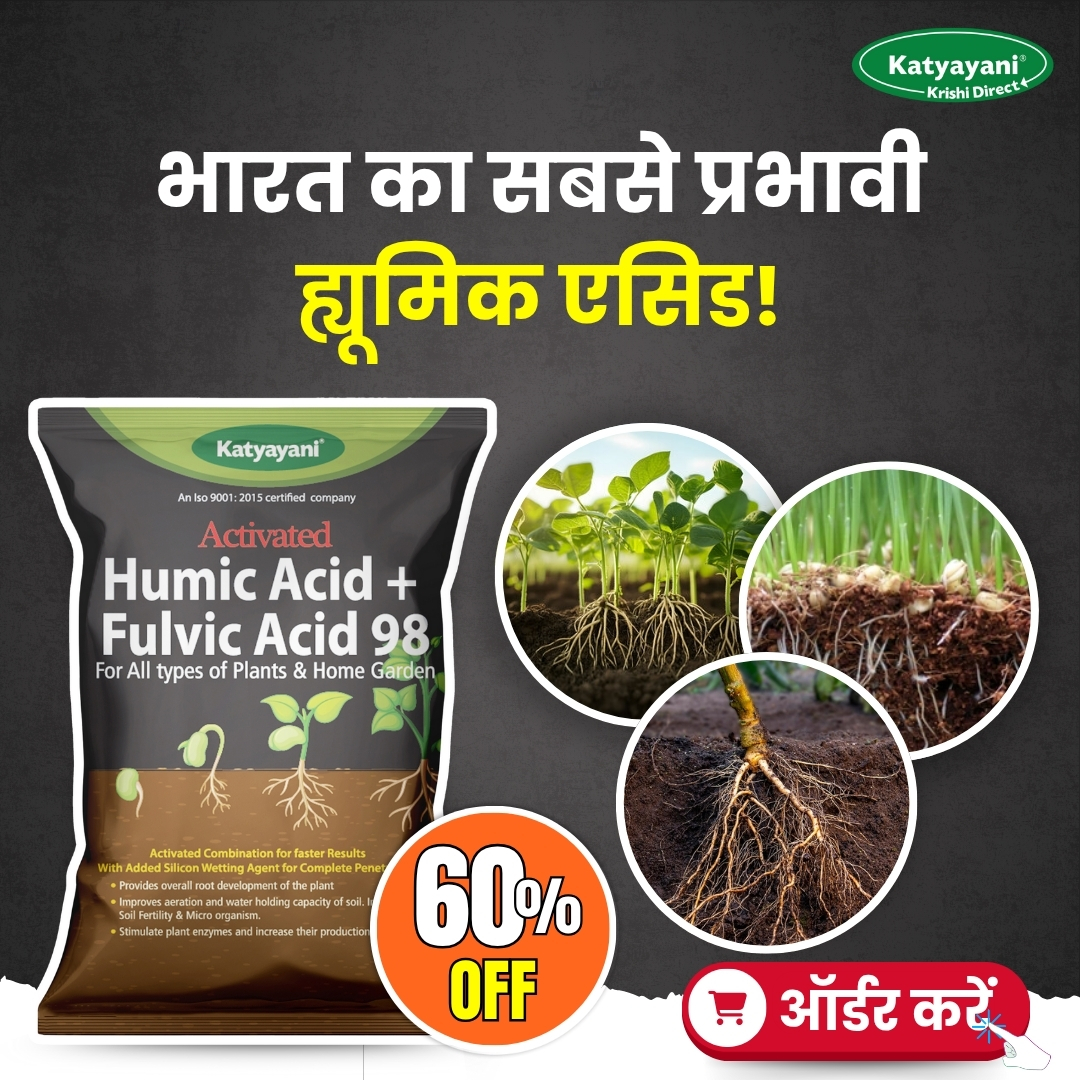 Katyayani Organics Facebook ad