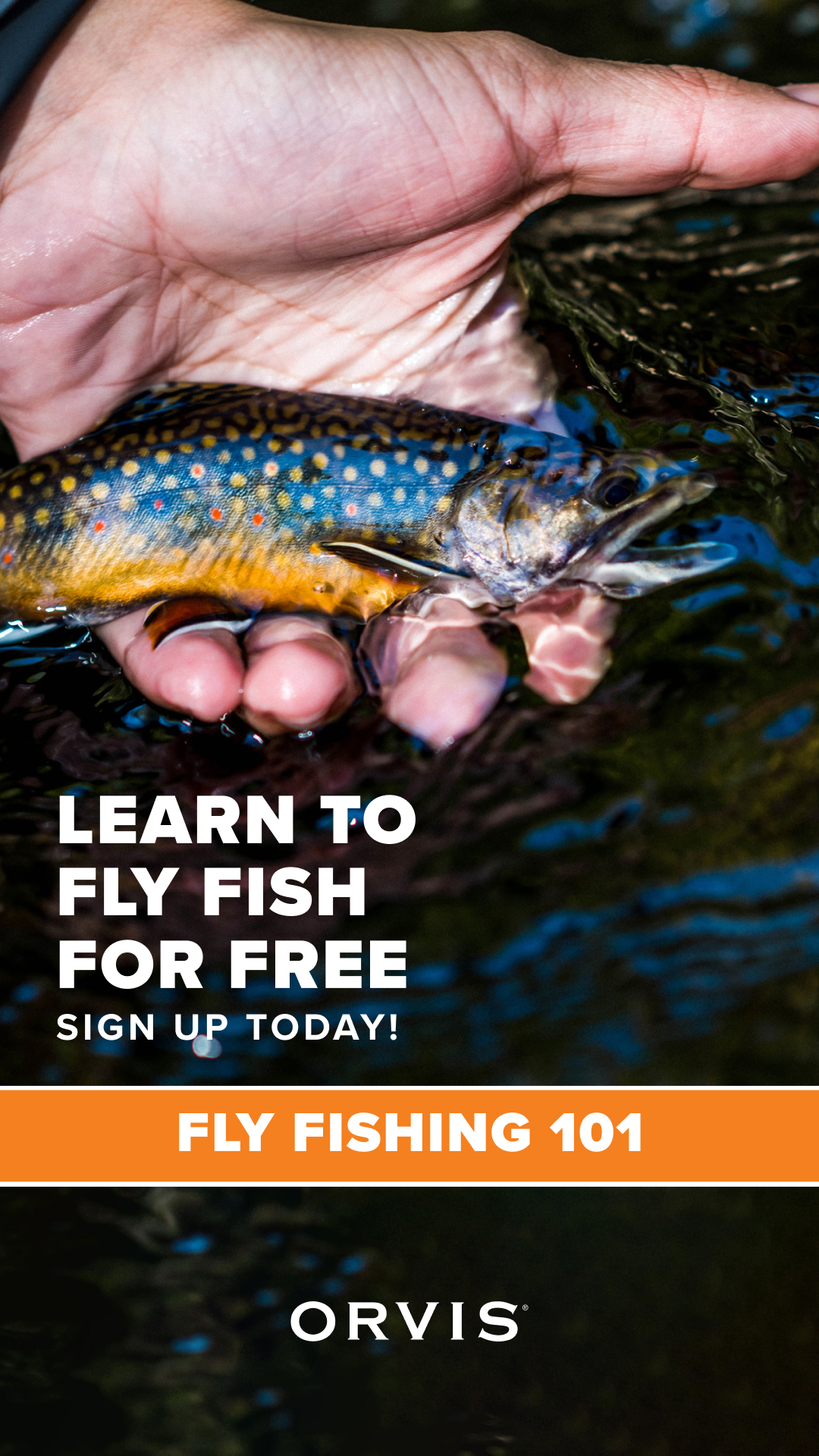 Orvis Facebook ad