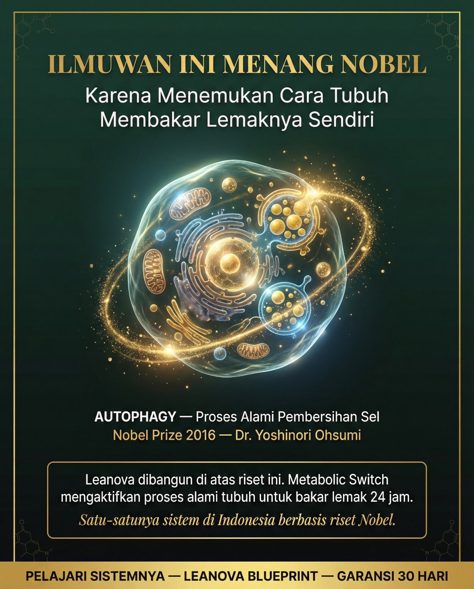 Leanova Indonesia Facebook ad: Berbasis Riset Nobel Prize 2016