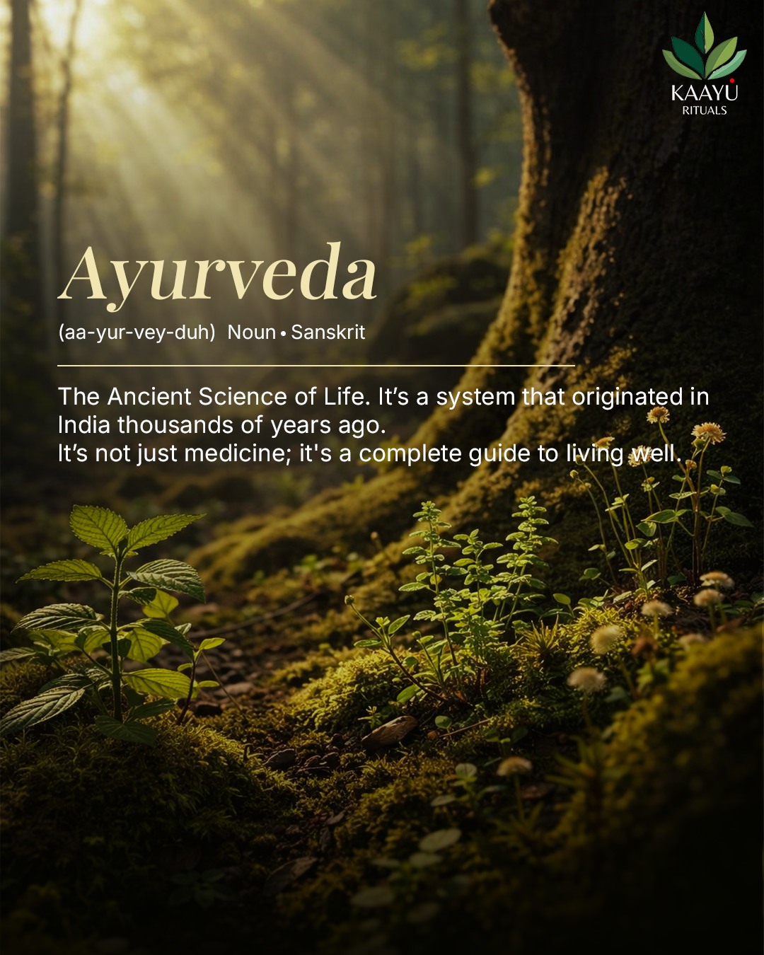 Kaayu Rituals Facebook ad: Ayurveda isn’t just about healing.