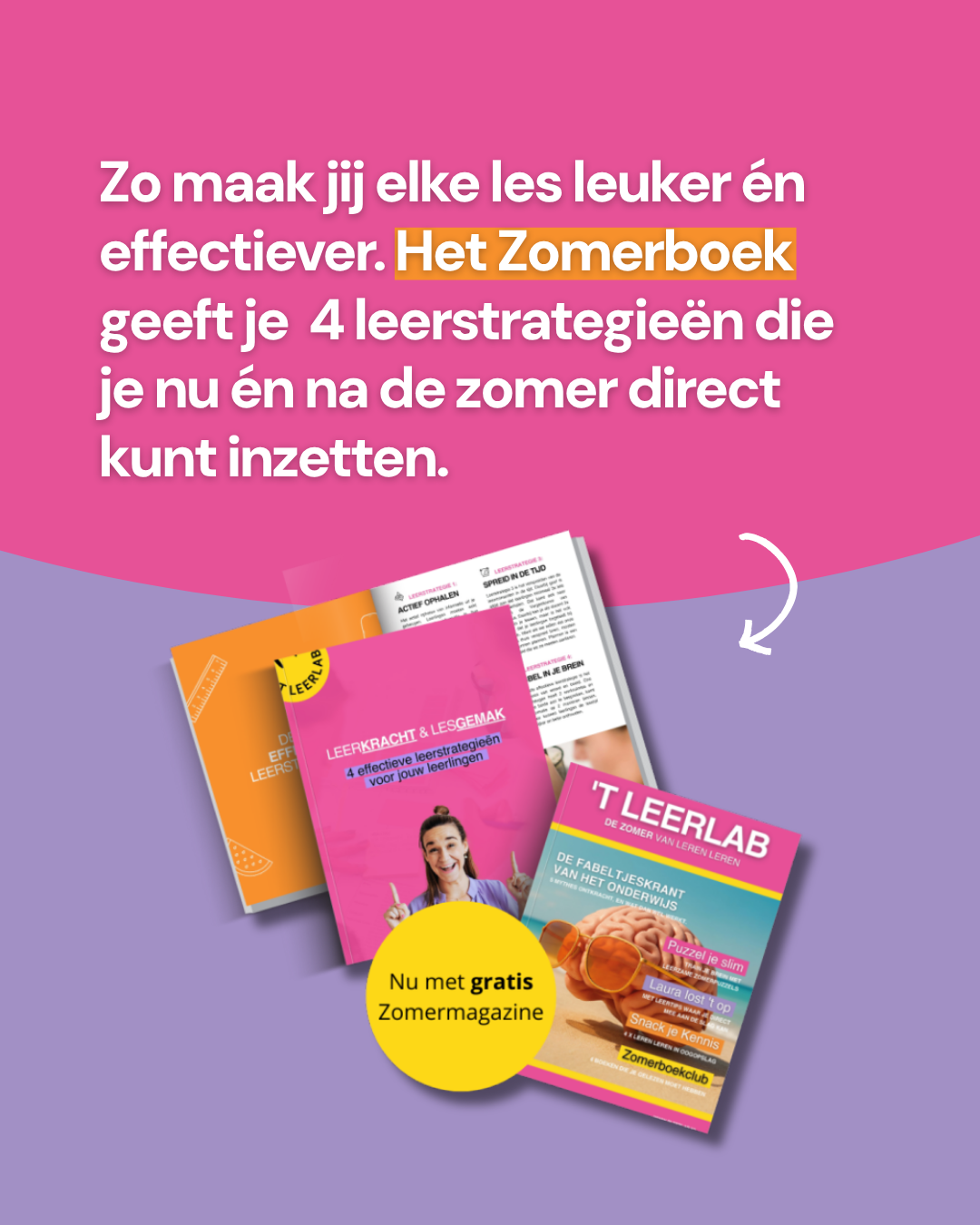 t Leerlab Facebook ad