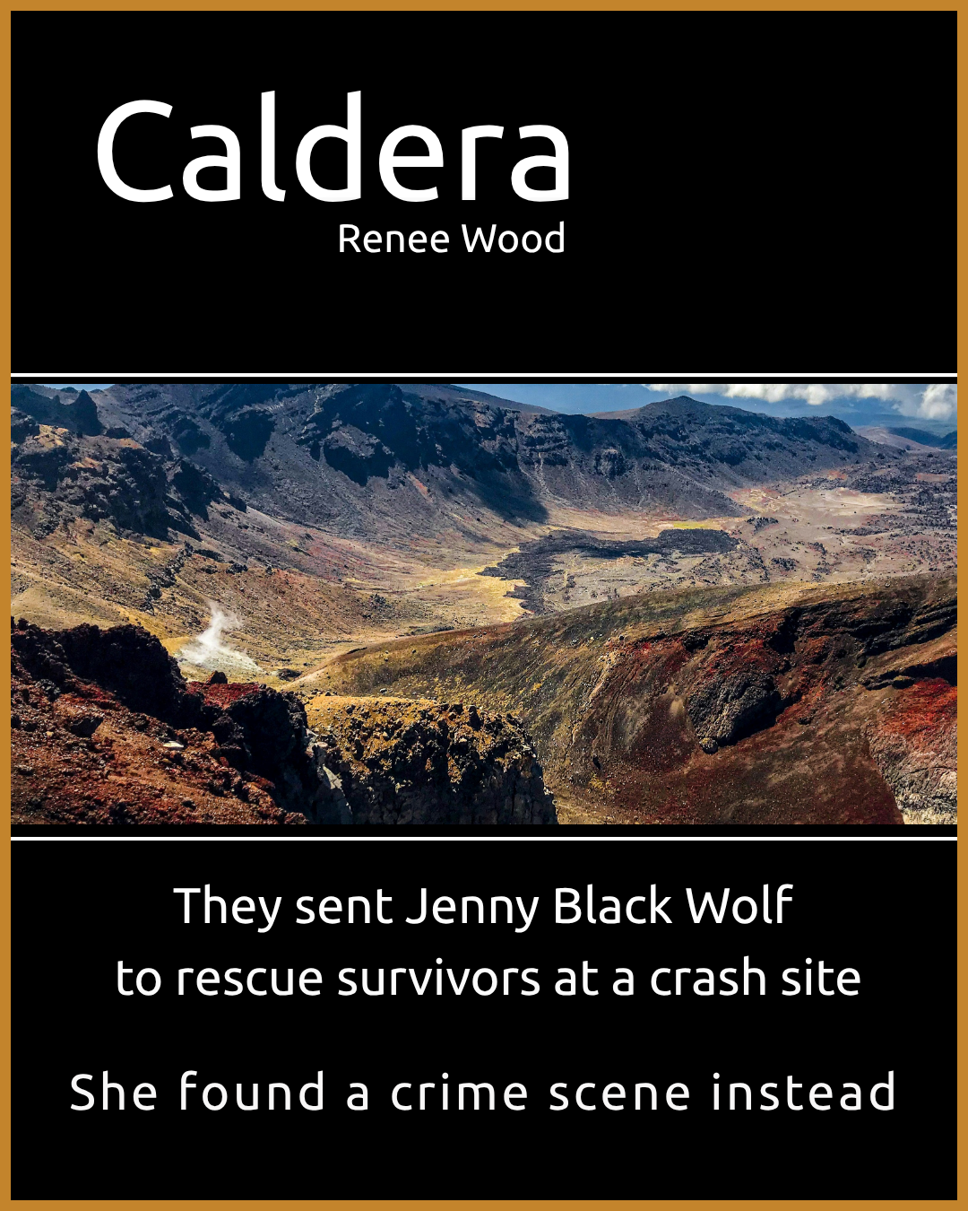 Renee Wood - Author Facebook ad
