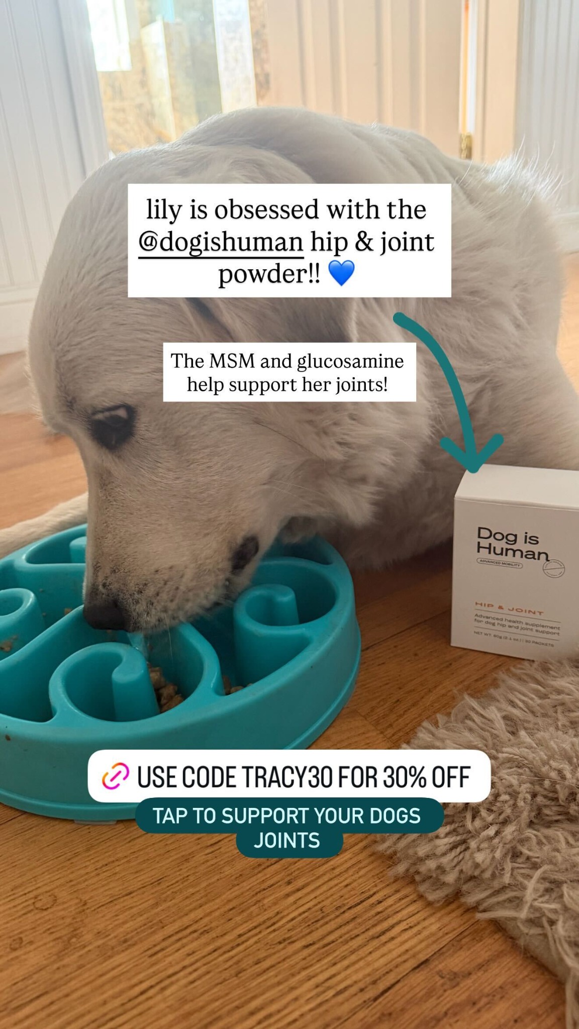 Dog is Human Facebook ad