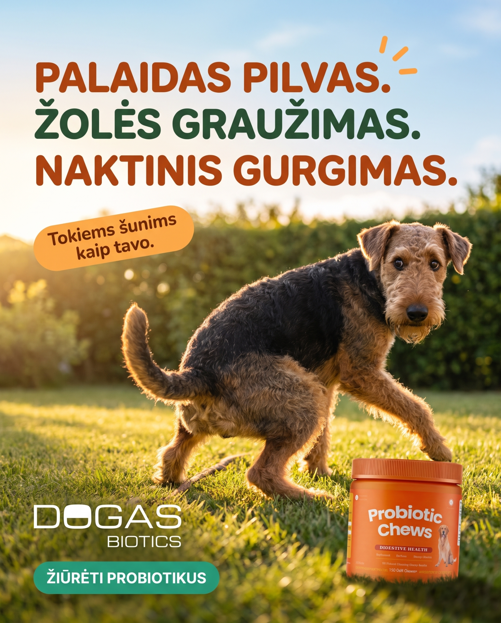 Dogas Biotics Facebook ad: Tokiems šunims kaip tavo