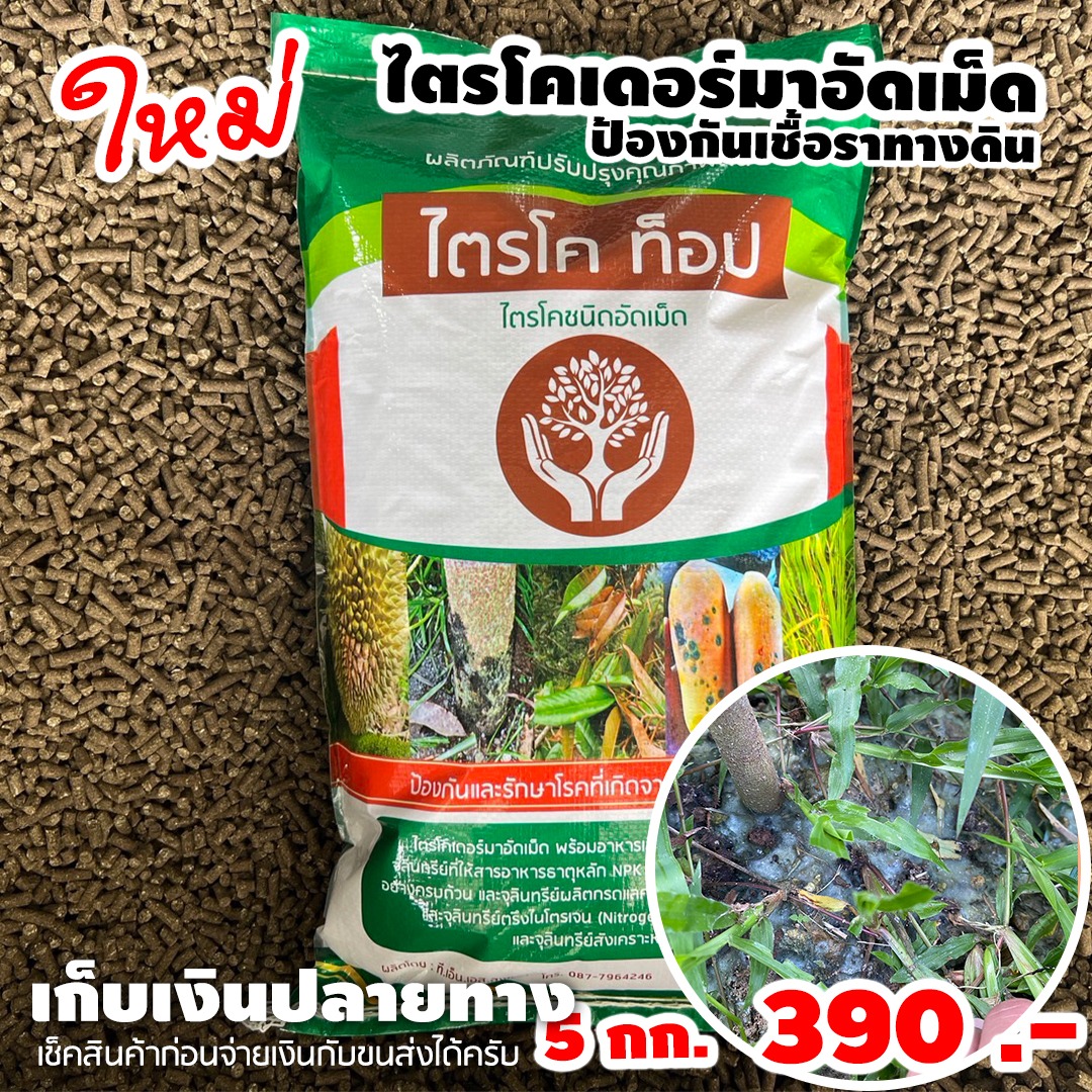 ไตรโค ท็อป Facebook ad