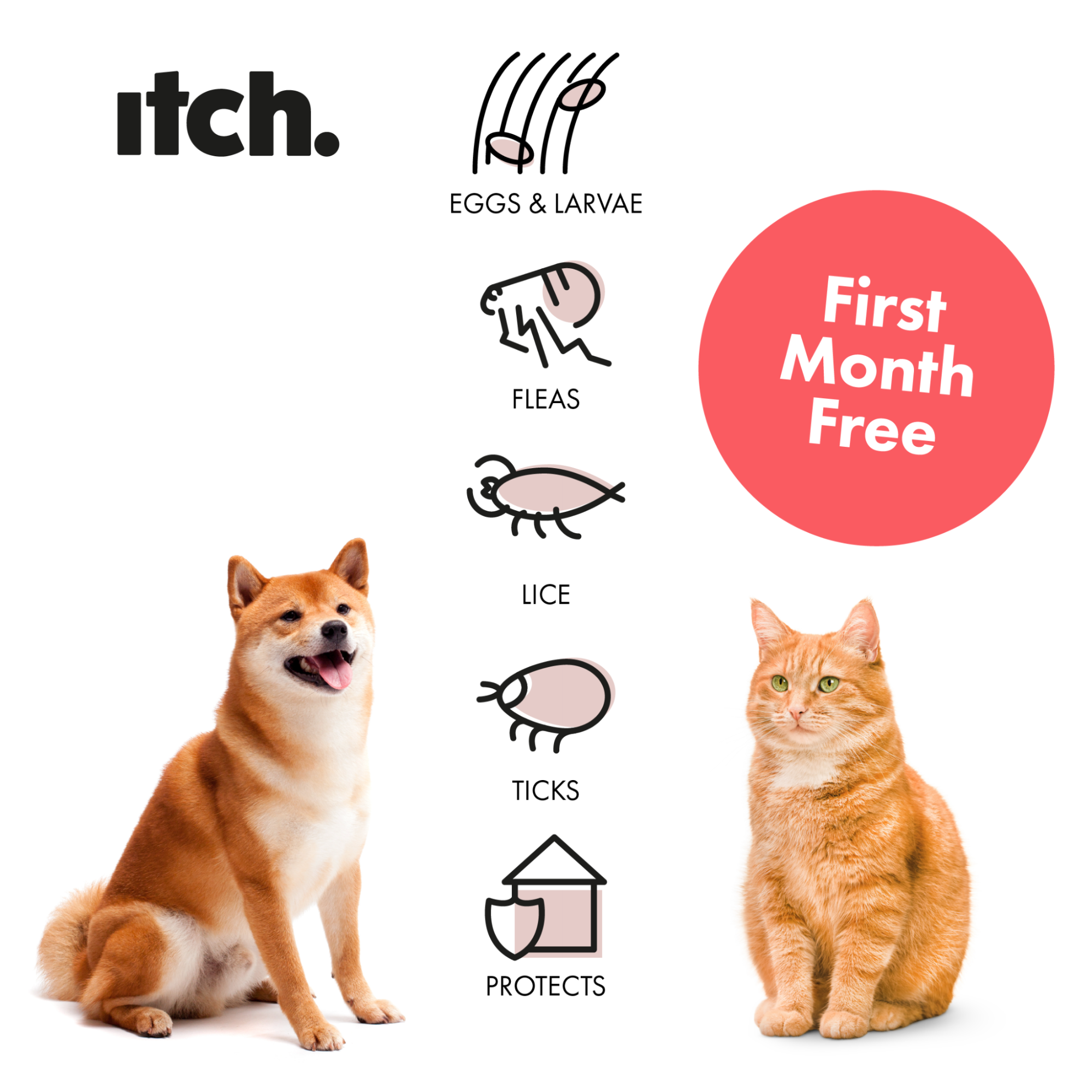 Itch Pet Facebook ad from Mar 9, 2026