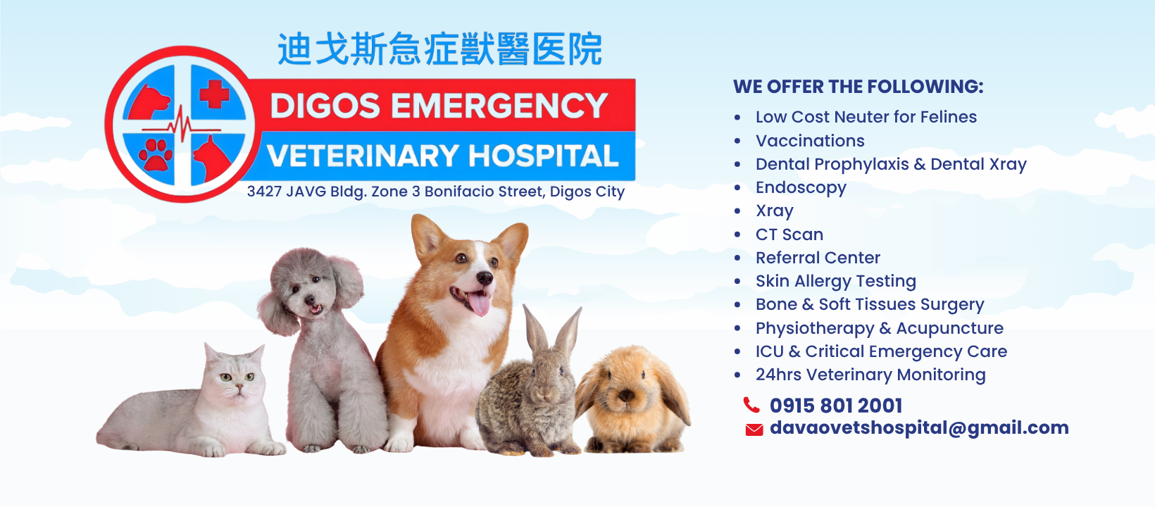 Digos Emergency Veterinary Hospital Facebook ad: 24-hour Veterinary Hospital in Digos City!