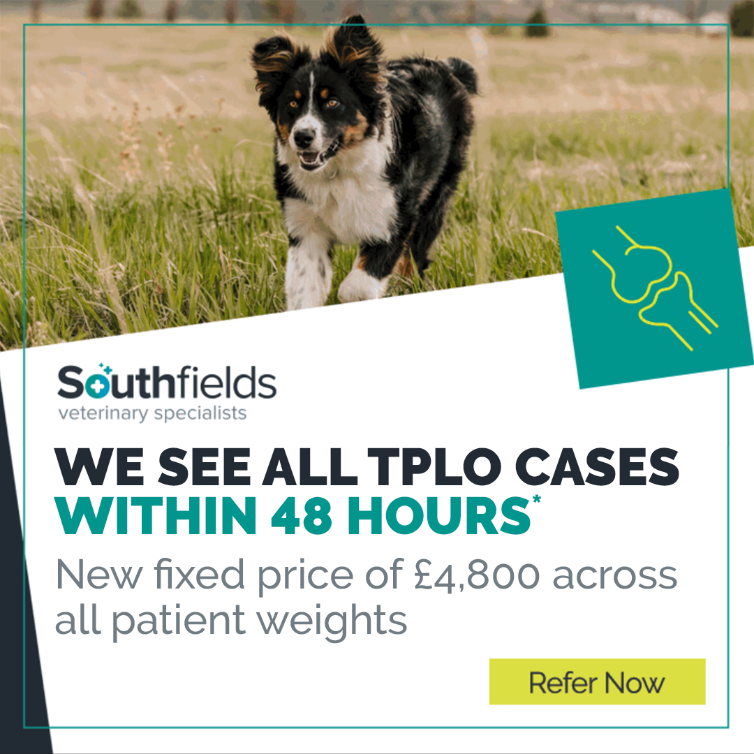 Southfields Veterinary Specialists Facebook ad