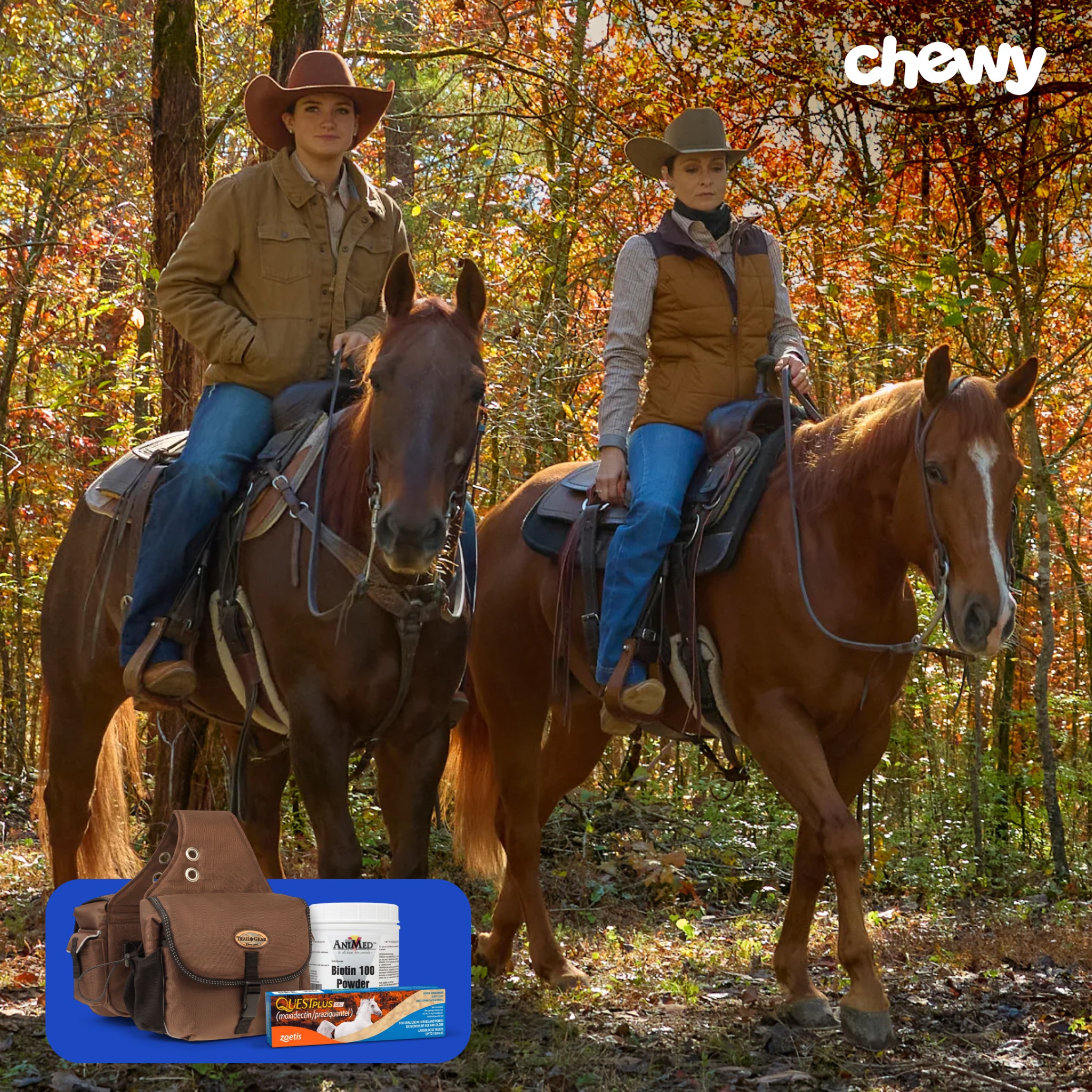 Chewy Facebook ad: Fall horse care