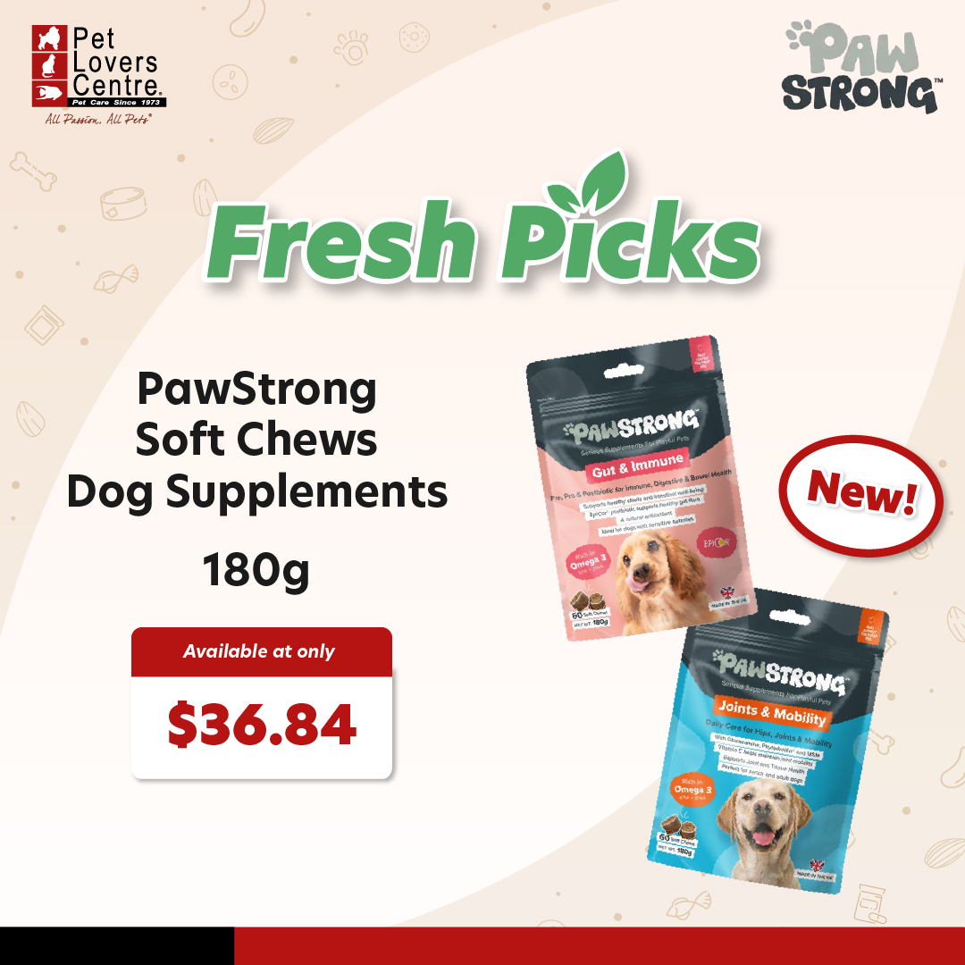 Pet Lovers Centre Singapore Facebook ad