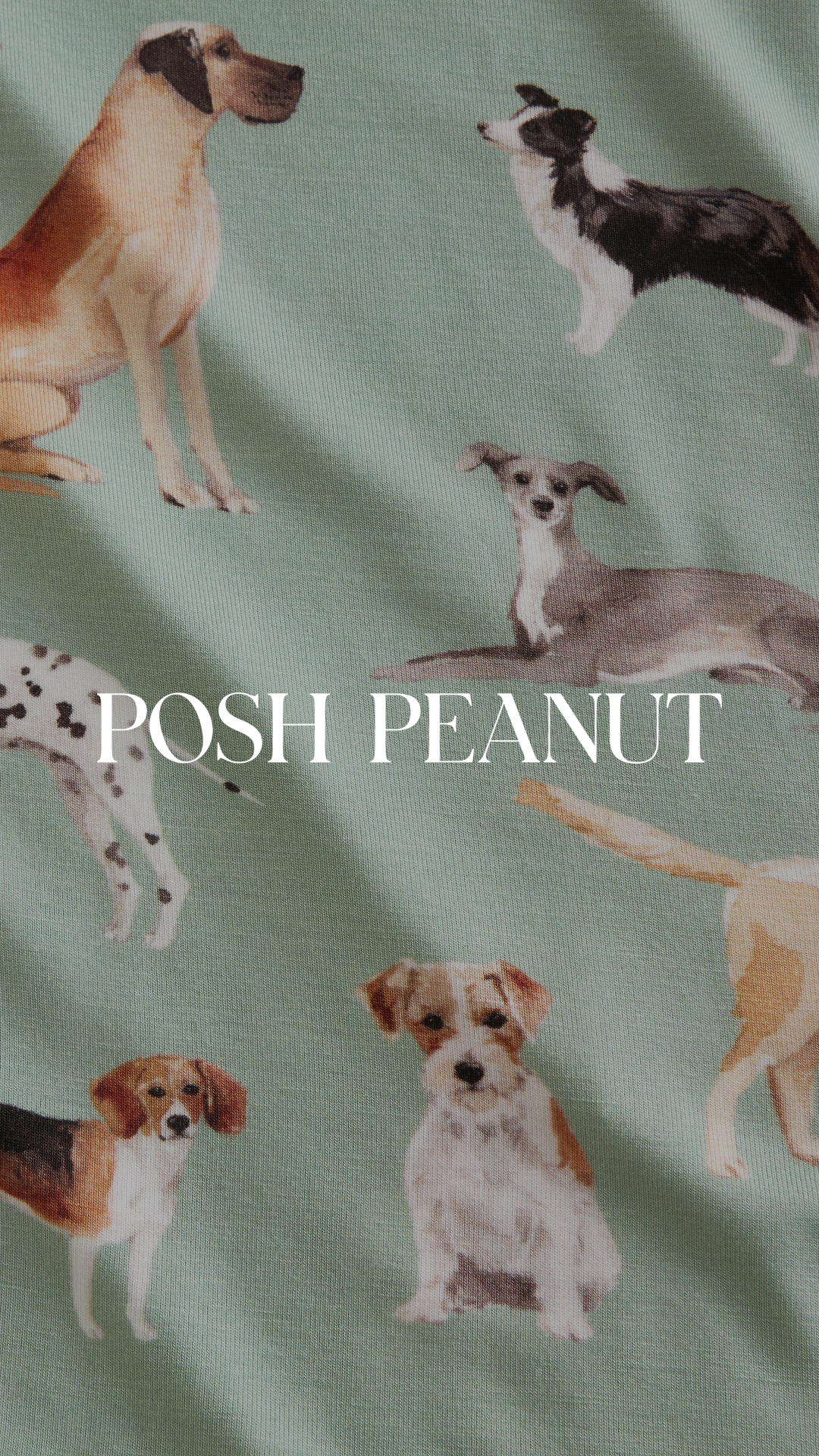 Posh Peanut Facebook ad