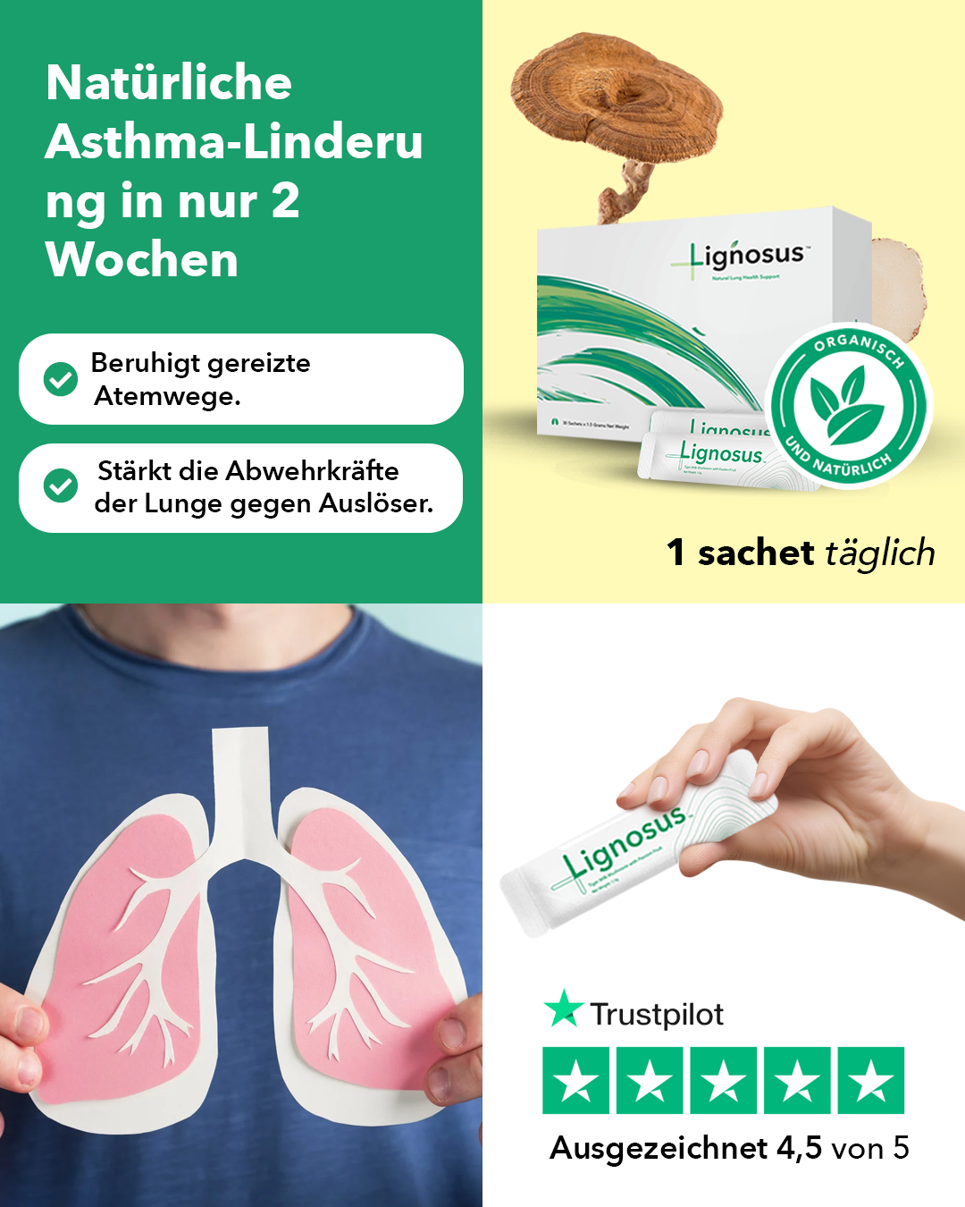Lignosus Facebook ad