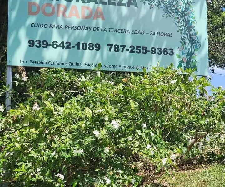 Hogar Naturaleza Dorada Facebook ad: Empleo