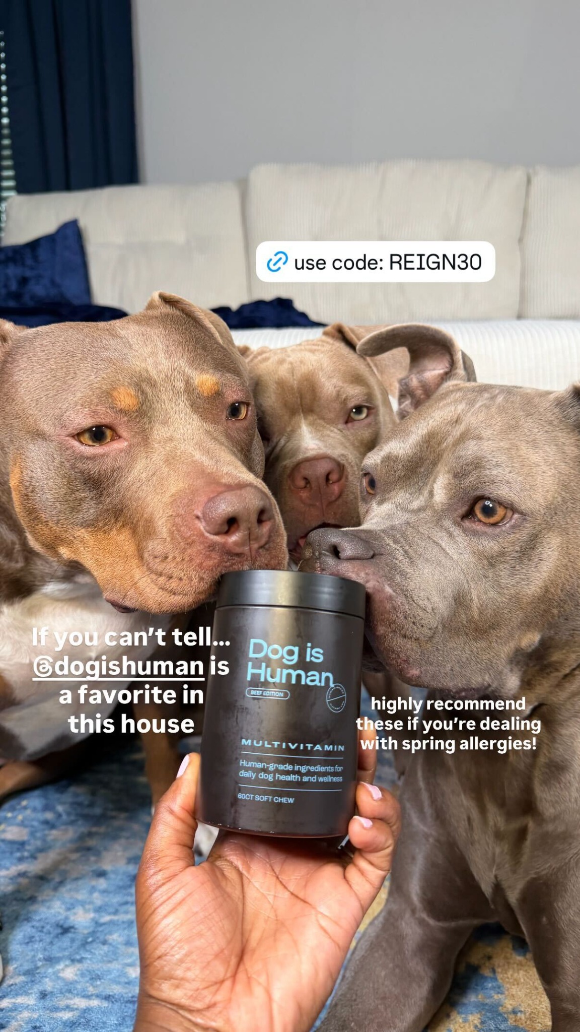 Dog is Human Facebook ad