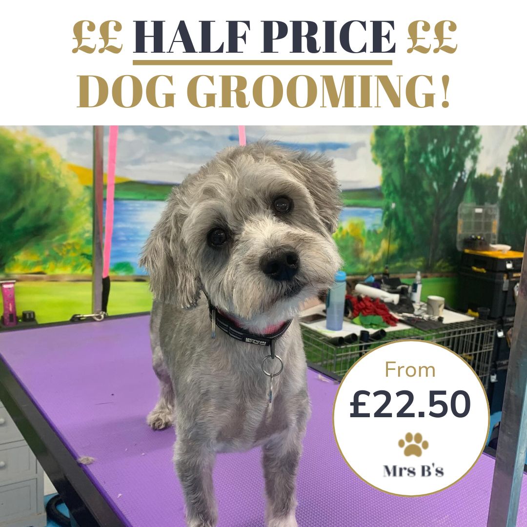 Mrs B's Dog Grooming & Grooming Academy Facebook ad
