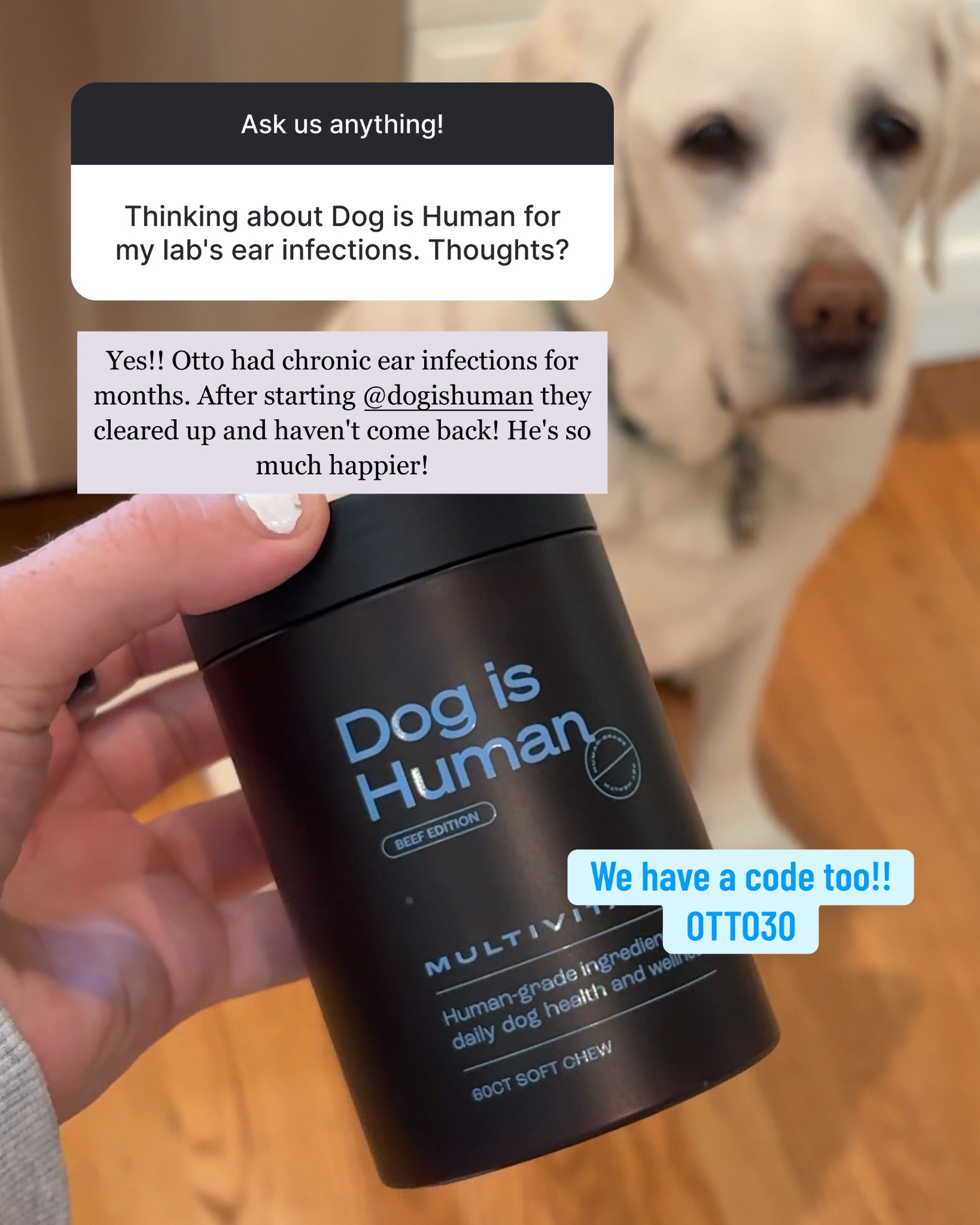 Dog is Human Facebook ad