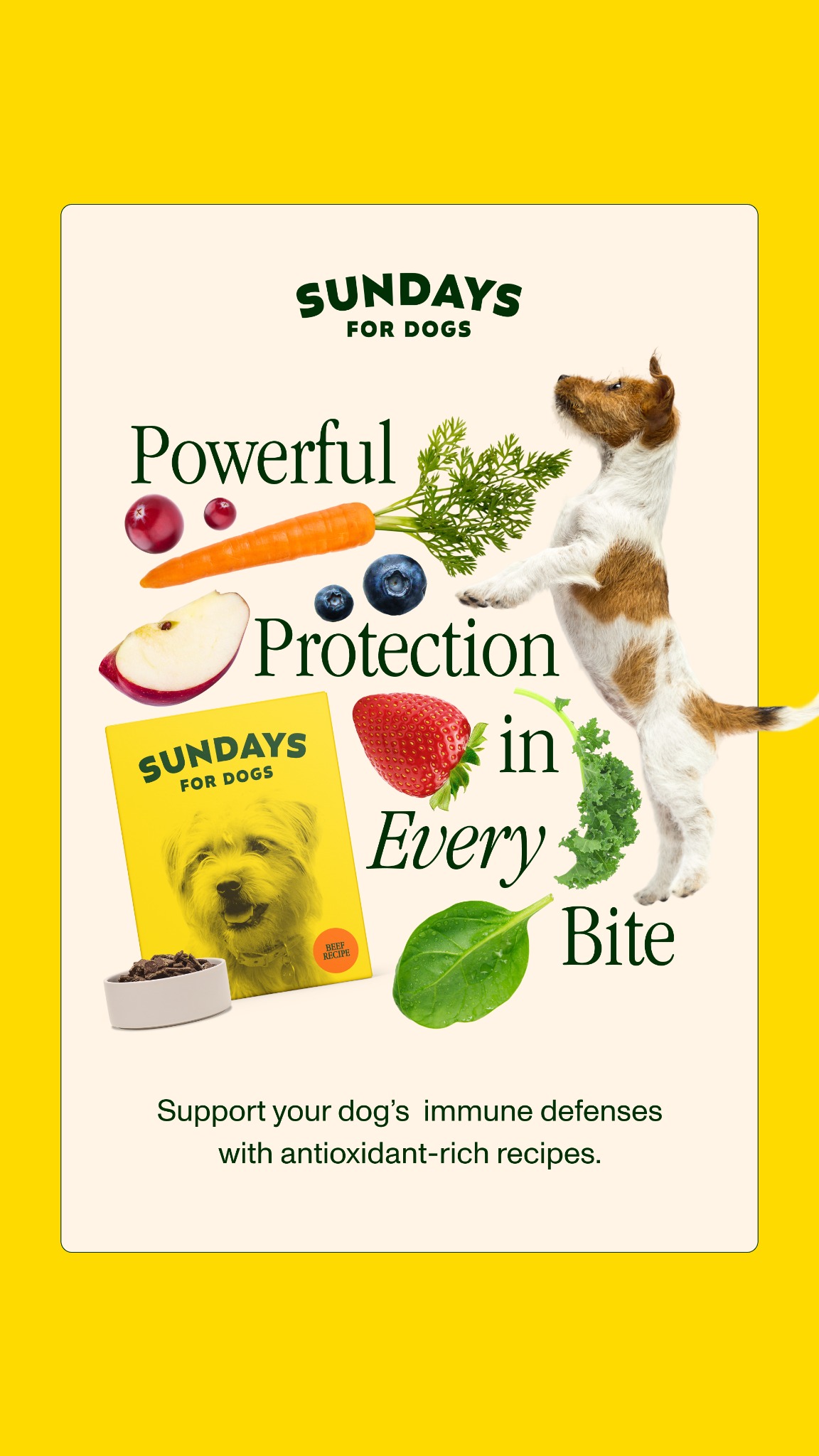 Sundays Facebook ad
