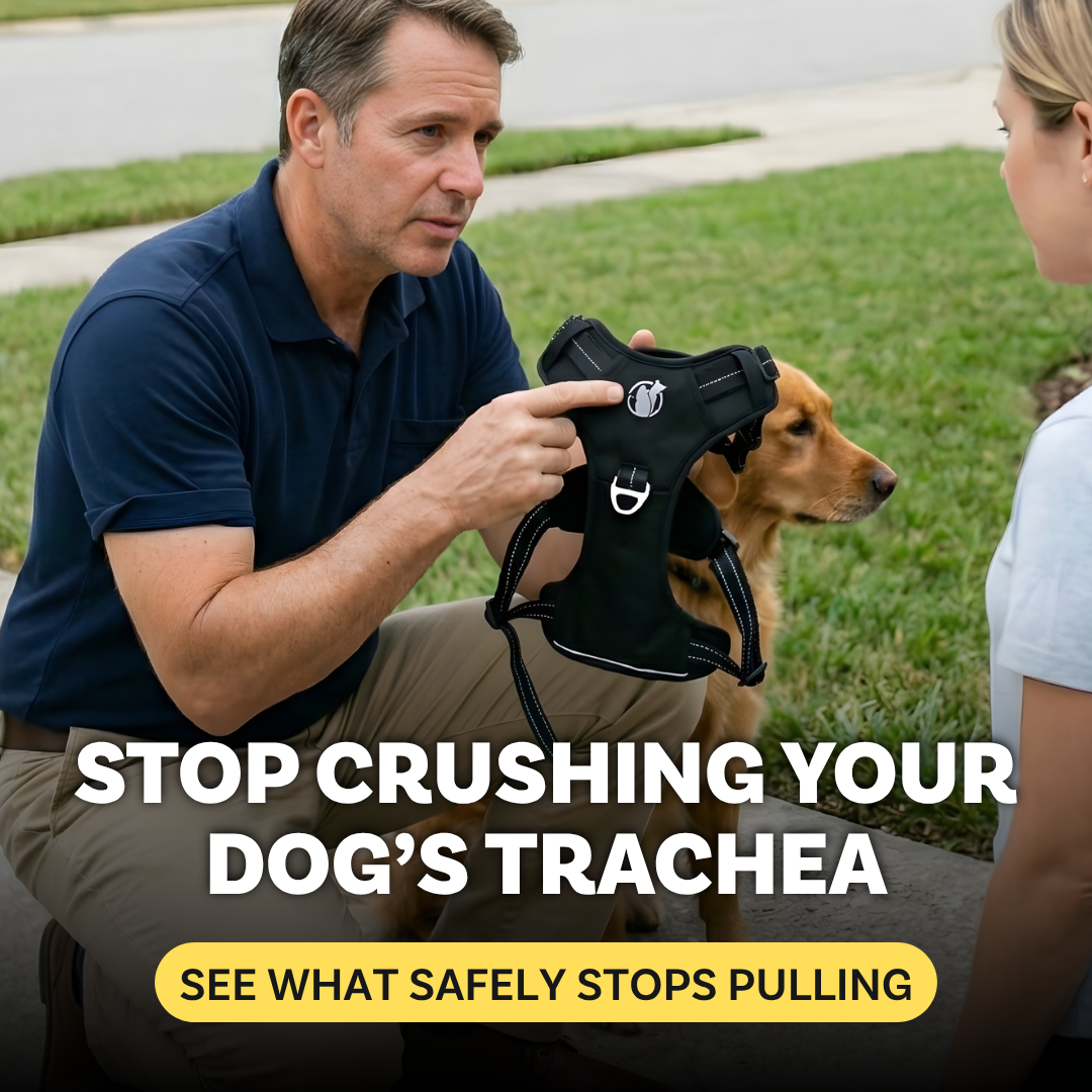 Life's Better With Dogs Blog Facebook ad