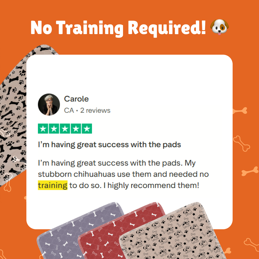 PuppyPad Facebook ad
