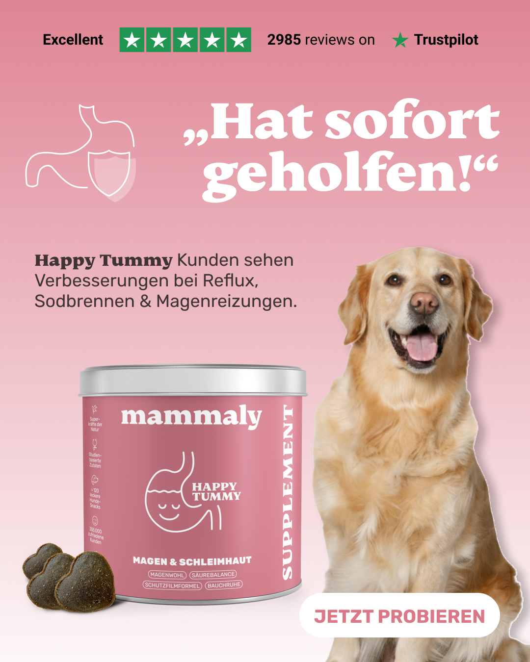 Mammaly Facebook ad