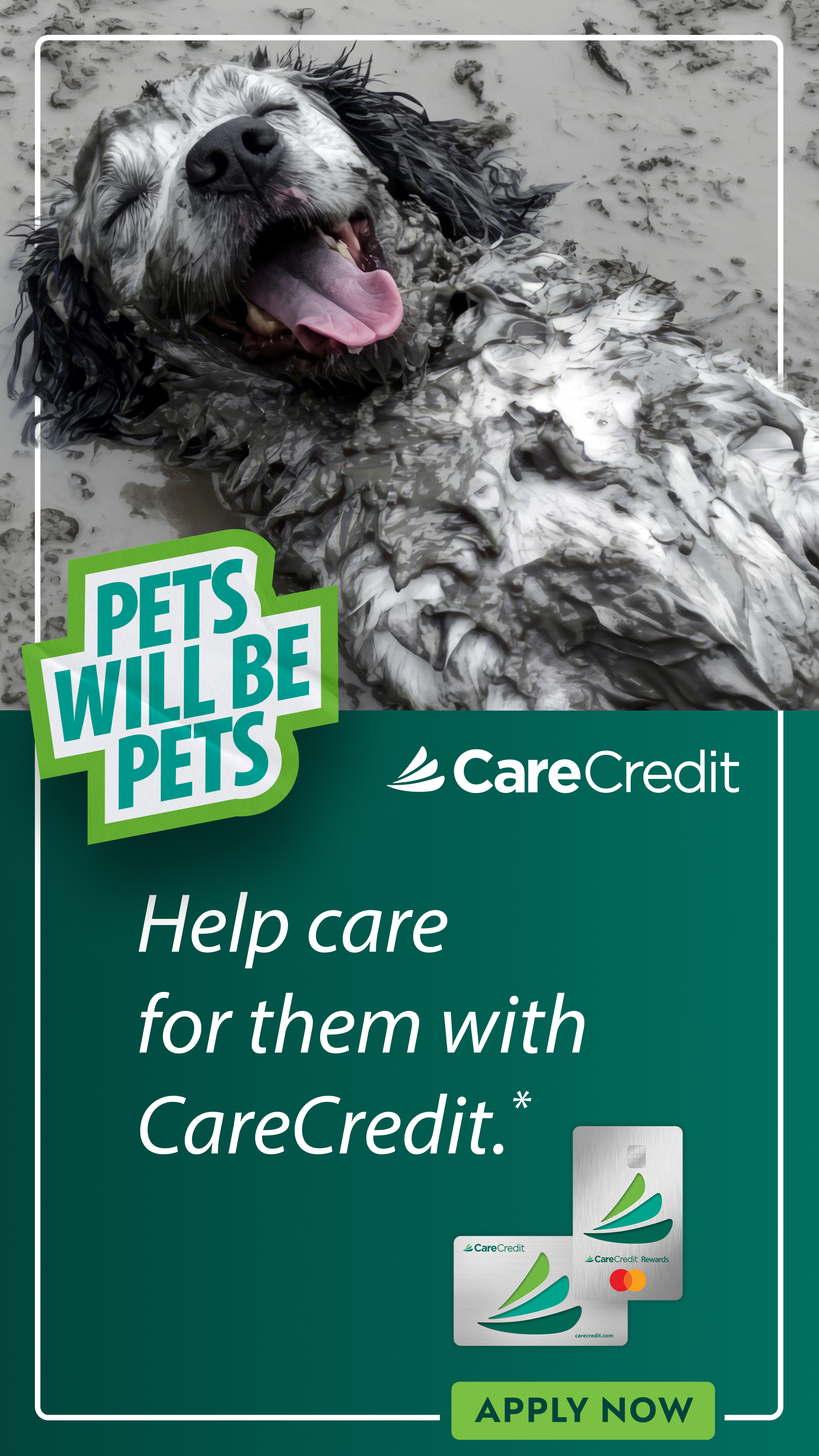 CareCredit Facebook ad from Jul 10, 2026